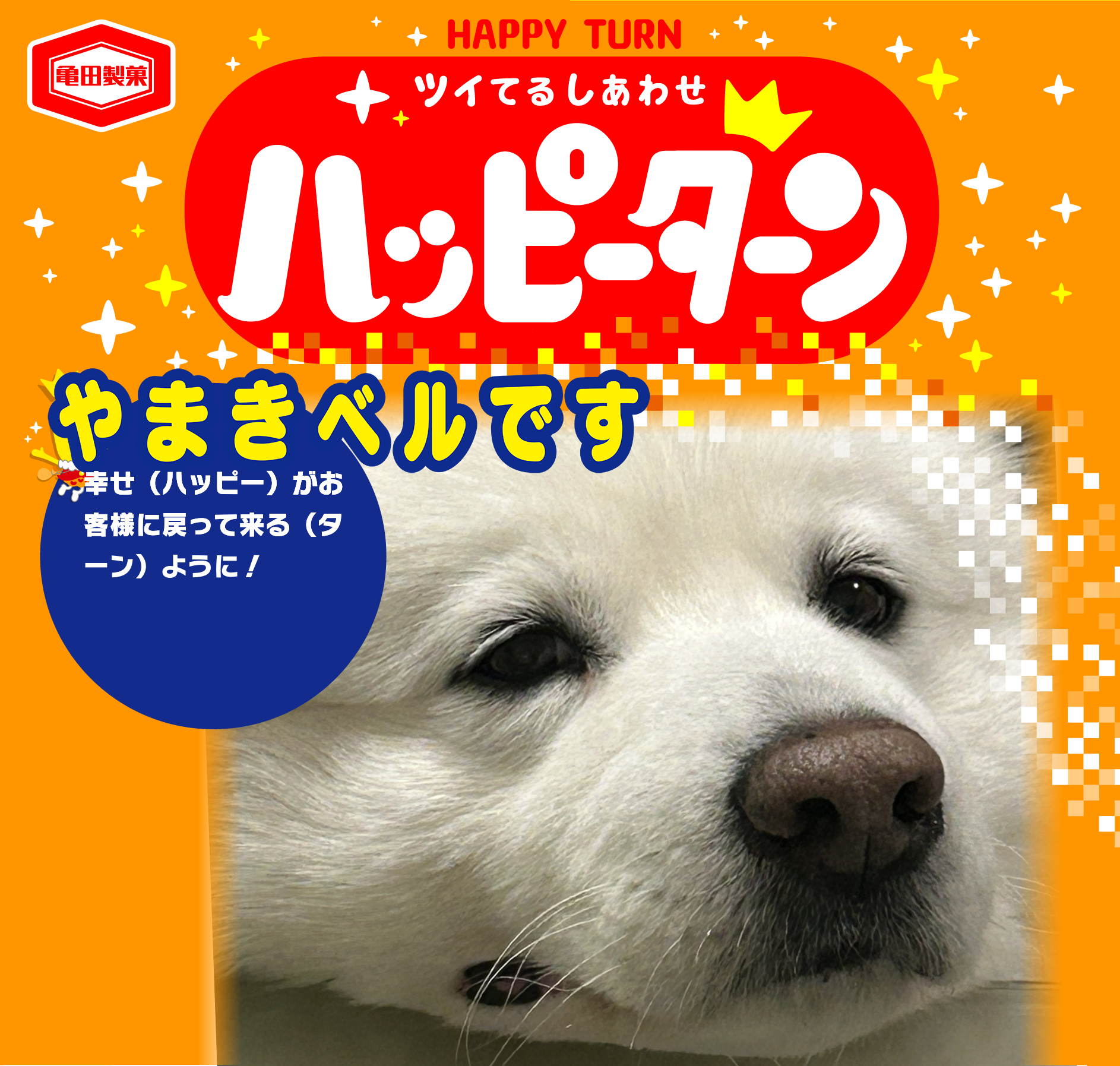 やまきベルです