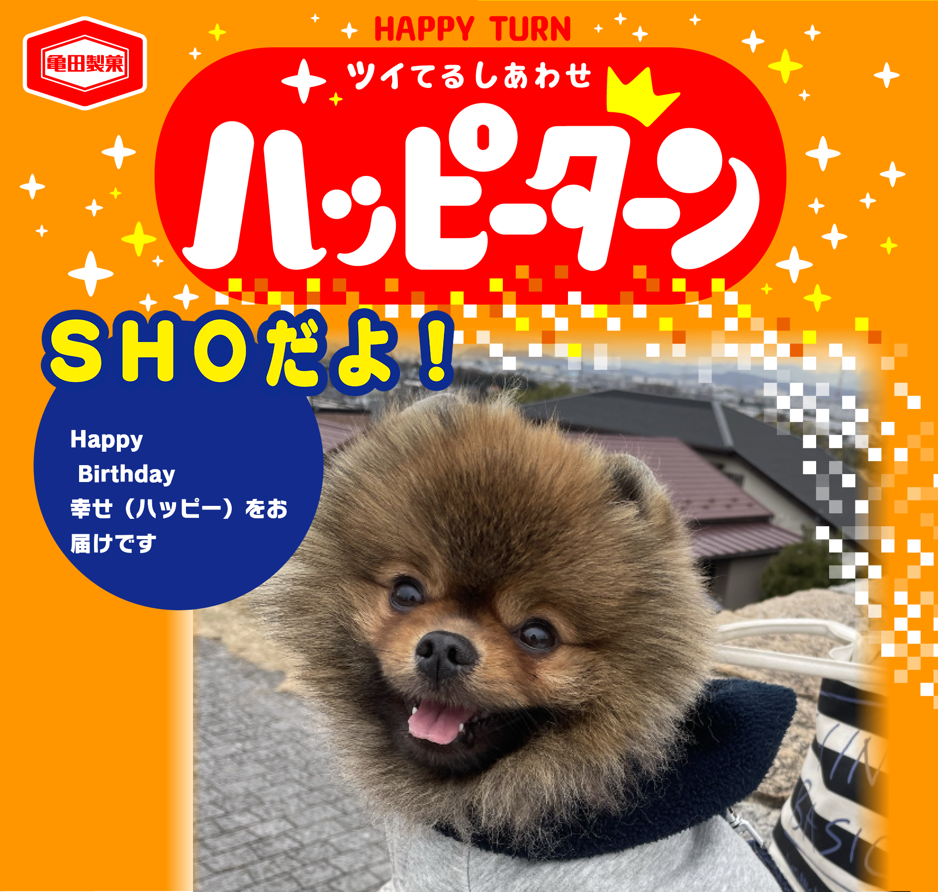 SHOだよ！
