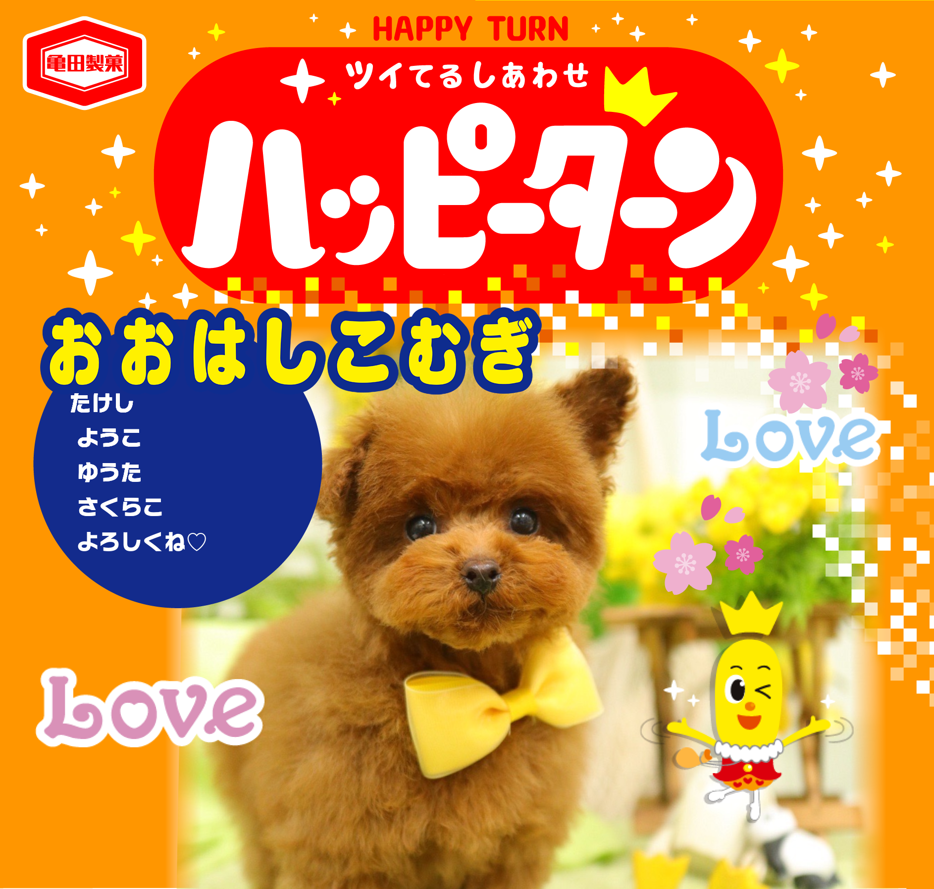 おおはしこむぎ
