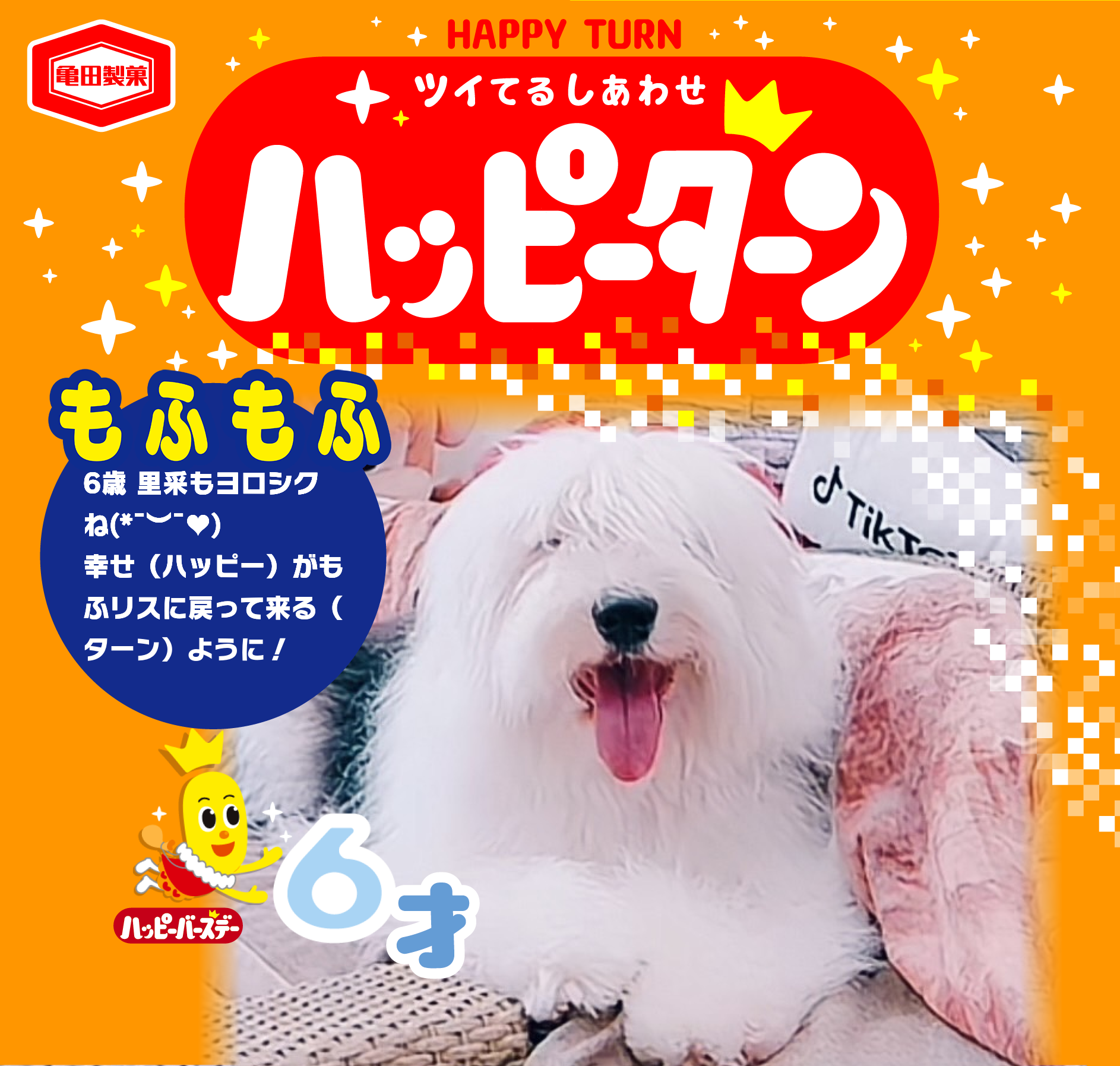 もふもふ