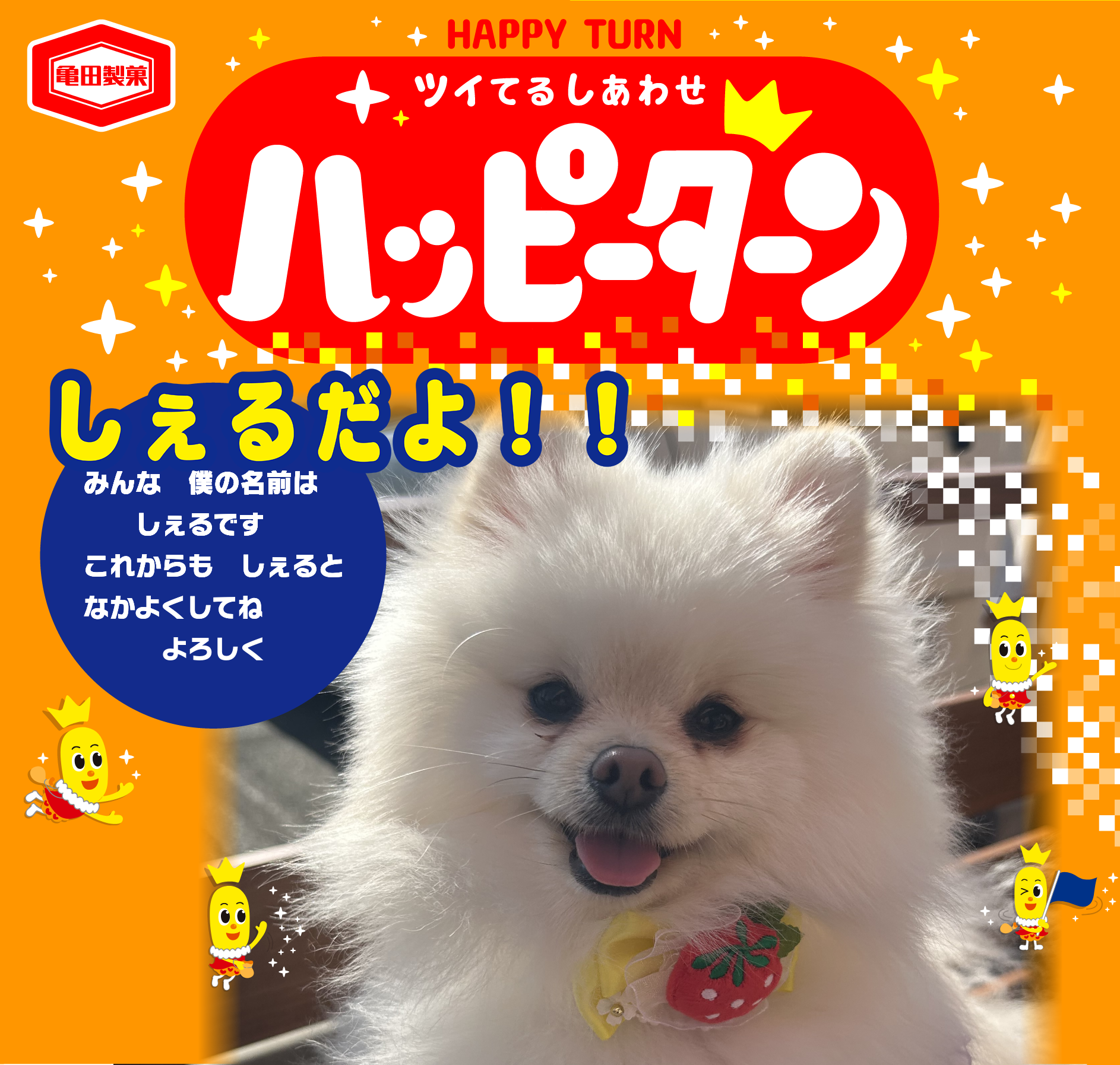 しぇるだよ！！