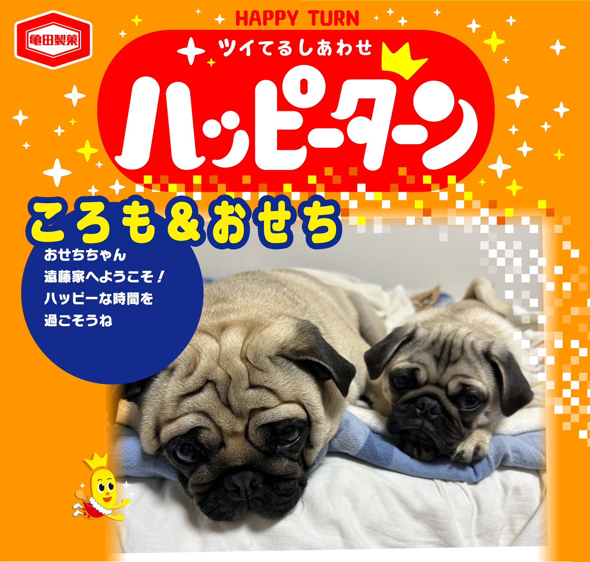ころも&おせち