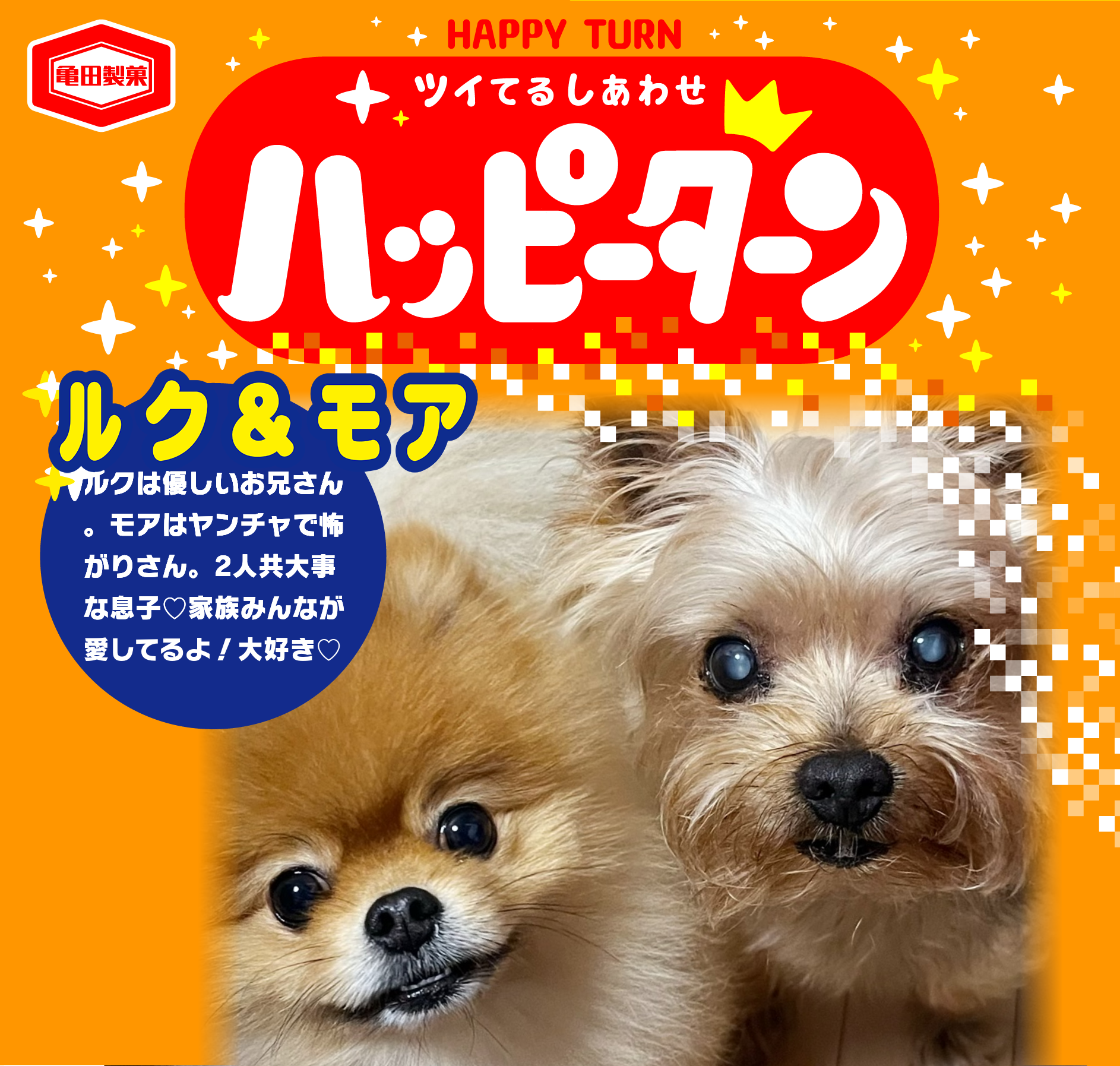 ルク&モア