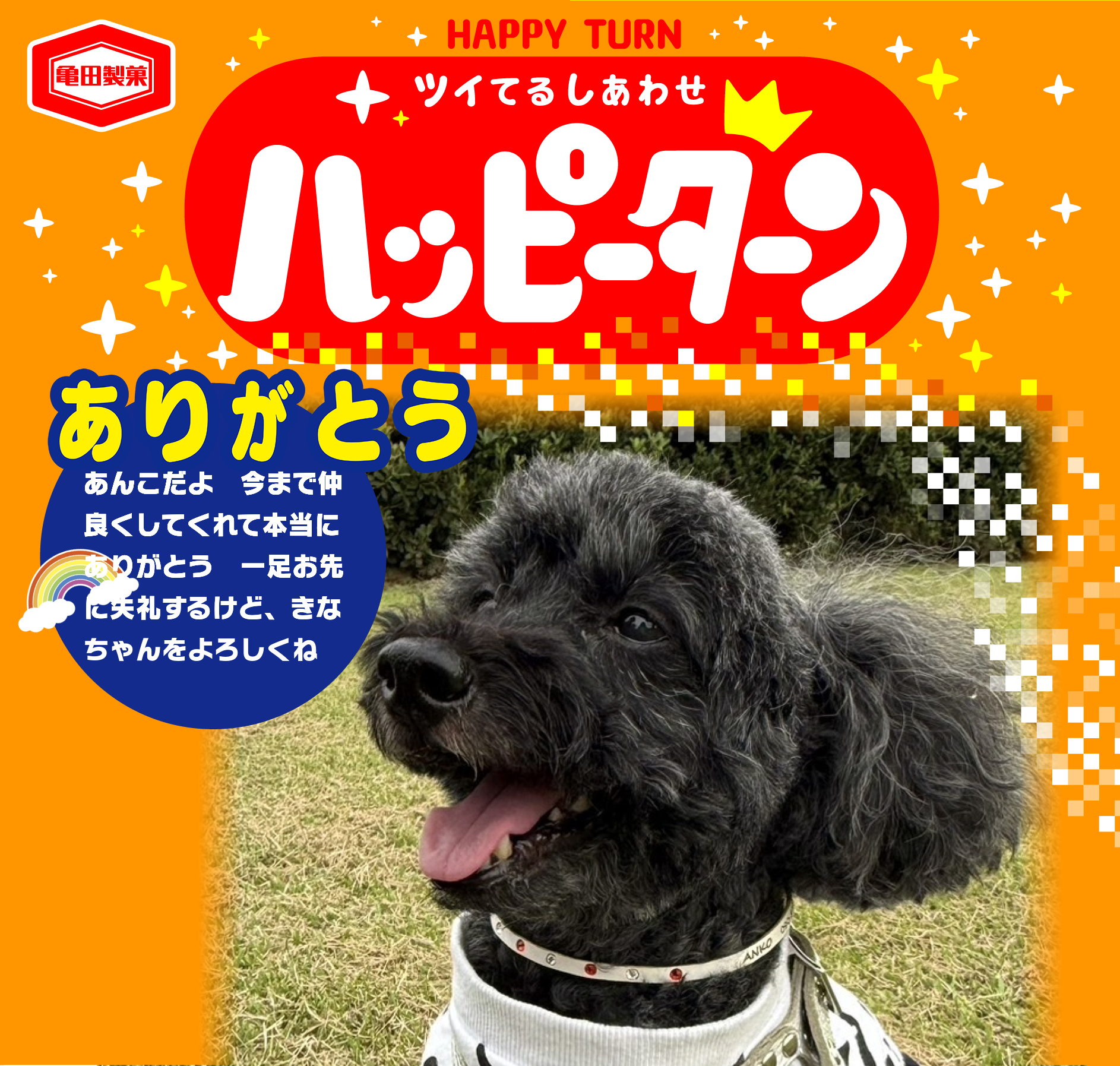 ありがとう