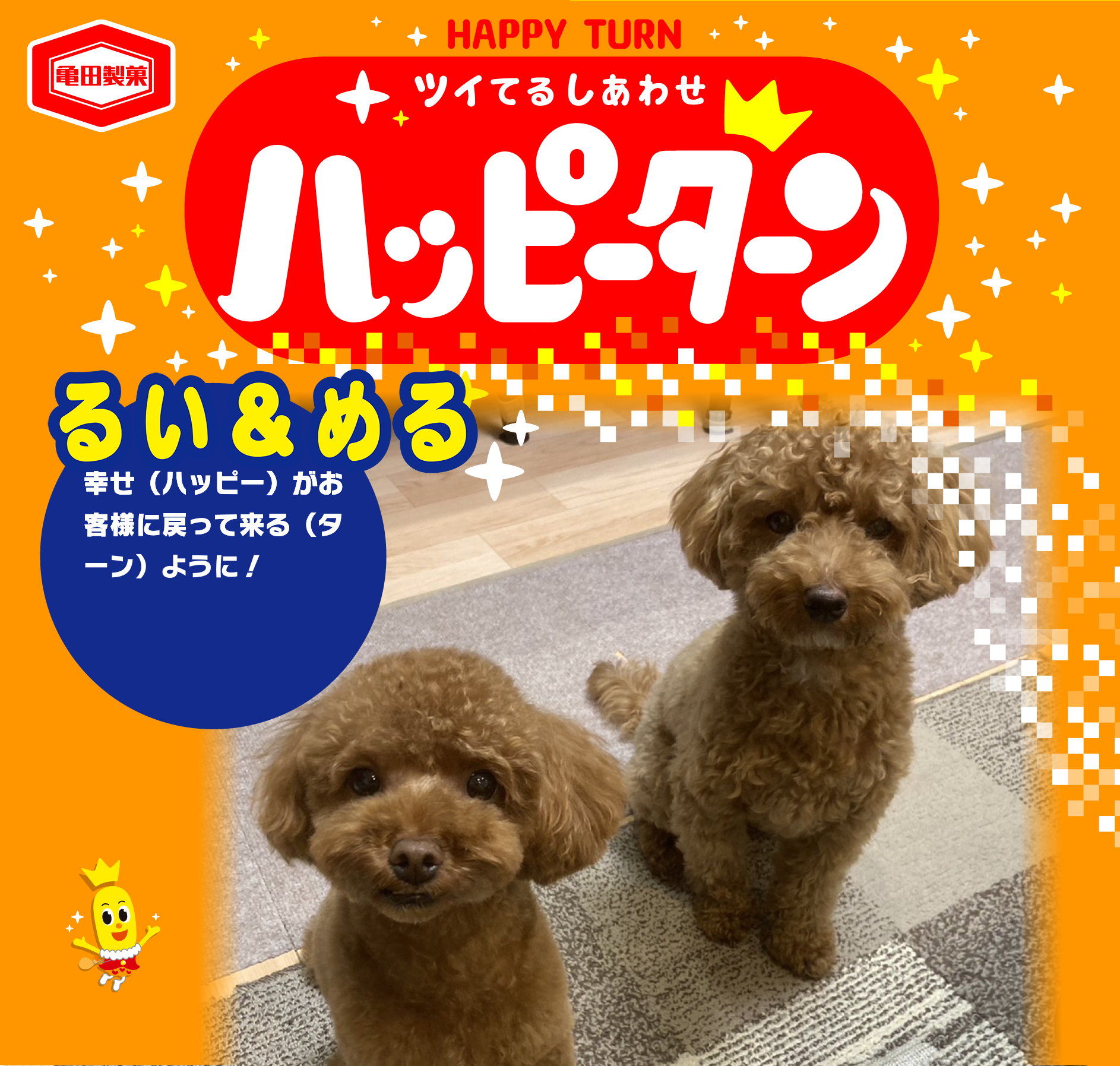 るい&める