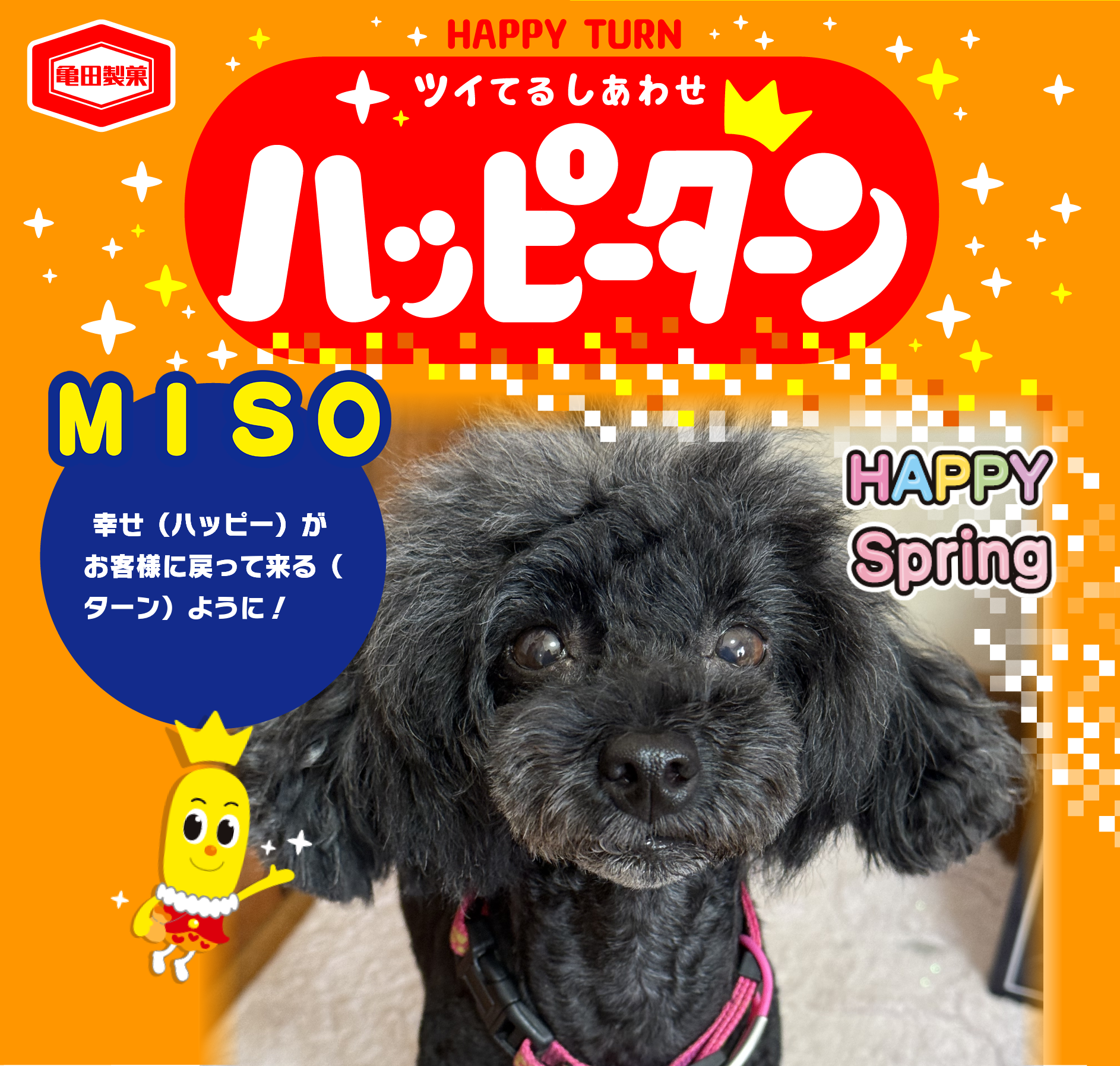 MISO