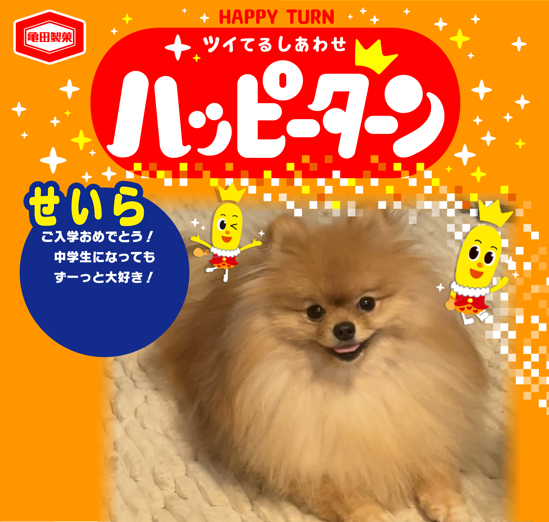 せいら
