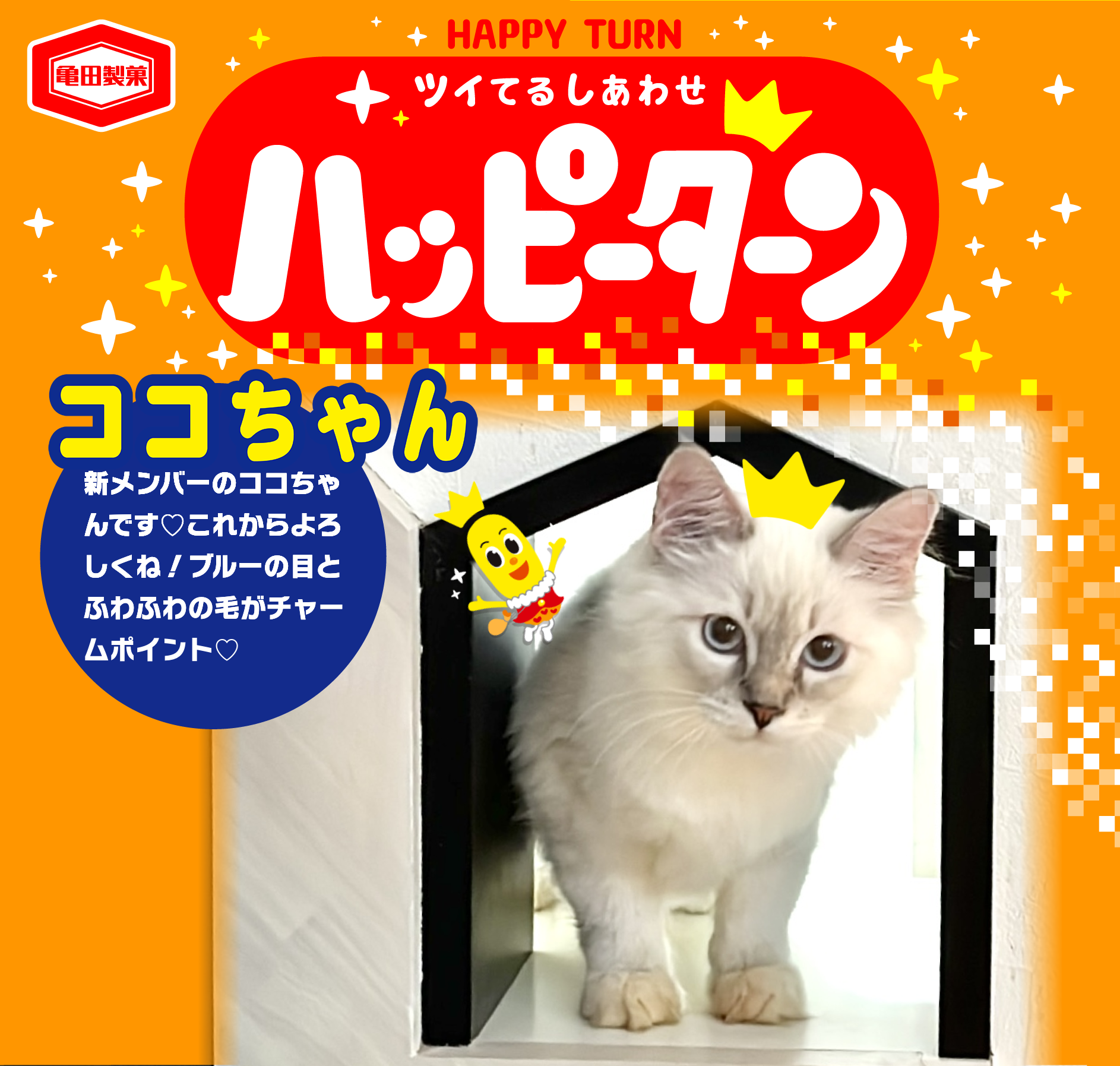 ココちゃん