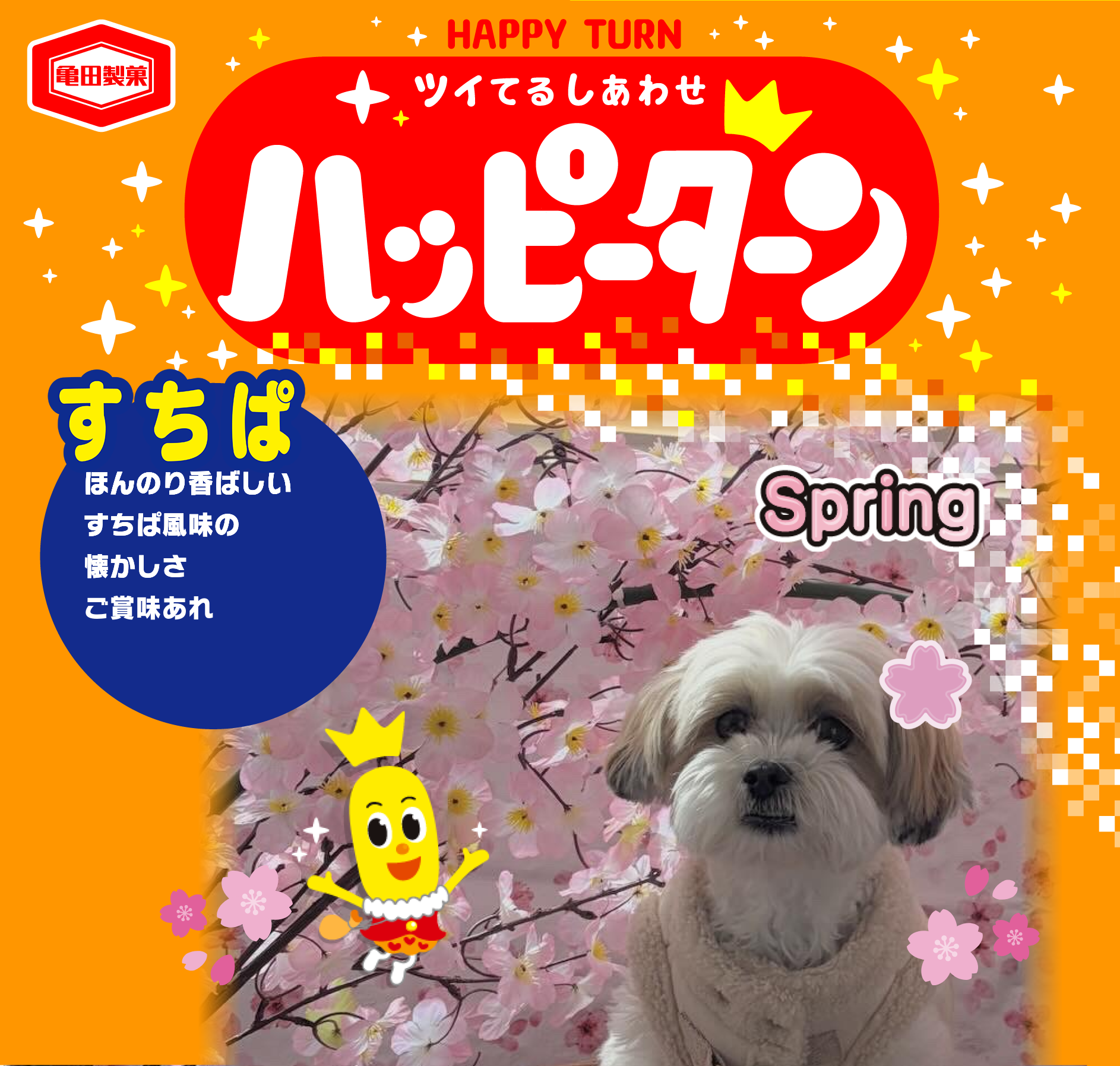 すちぱ