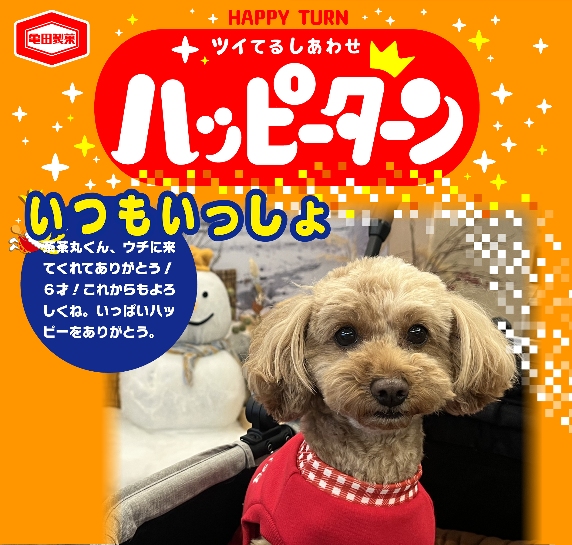 いつもいっしょ