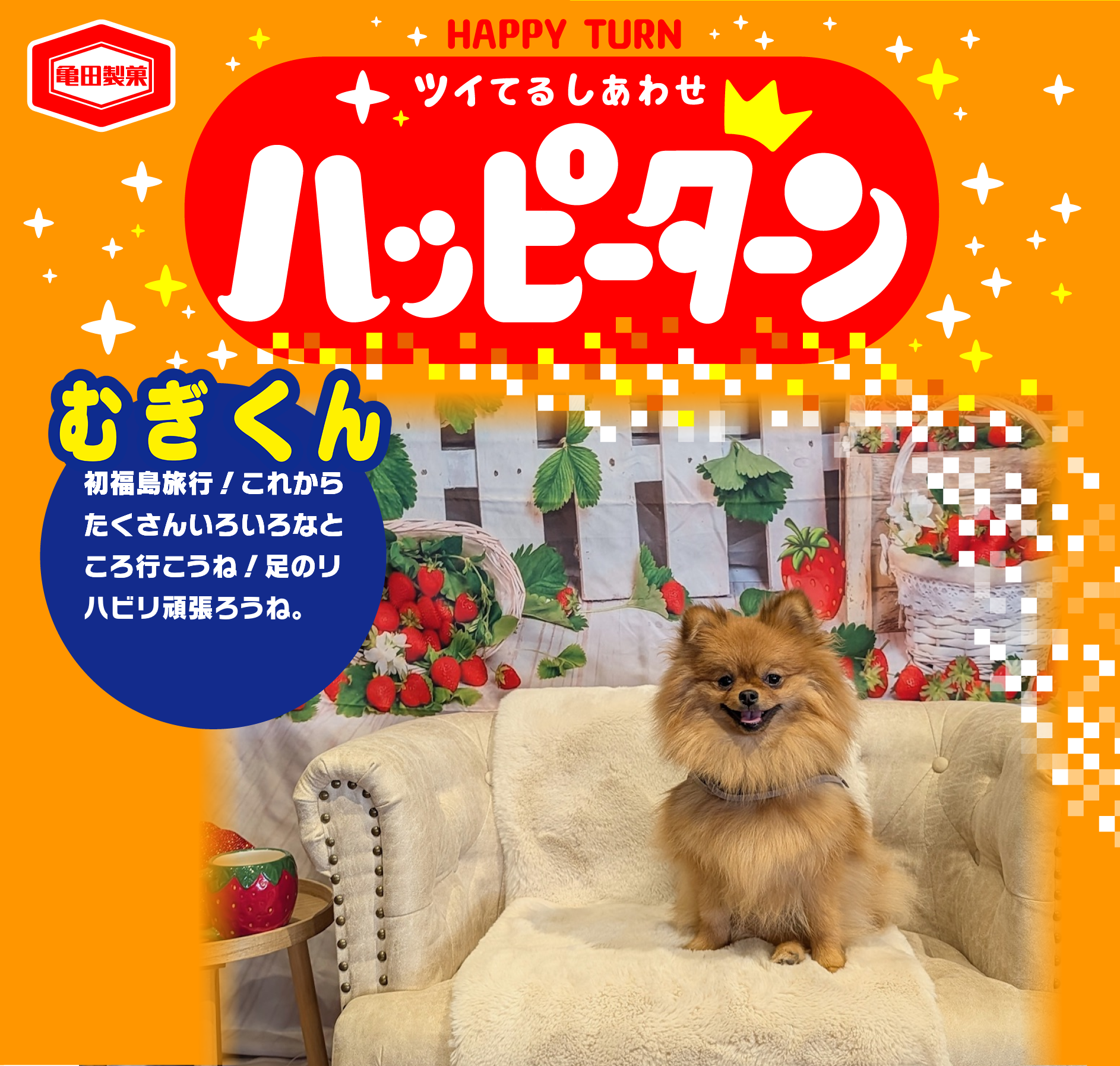 むぎくん