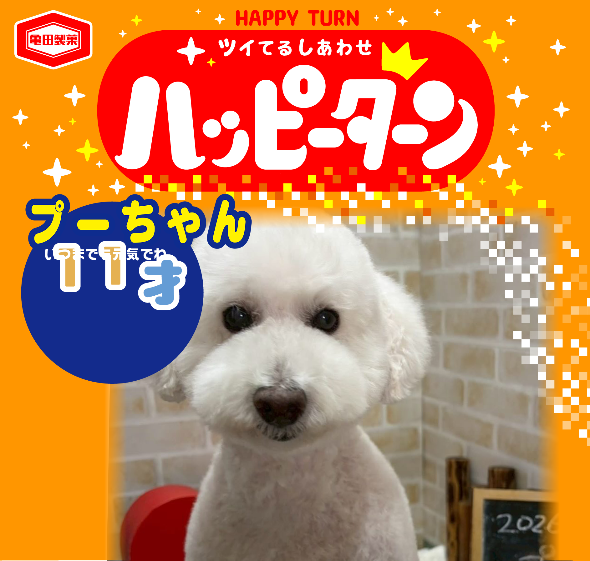 プーちゃん