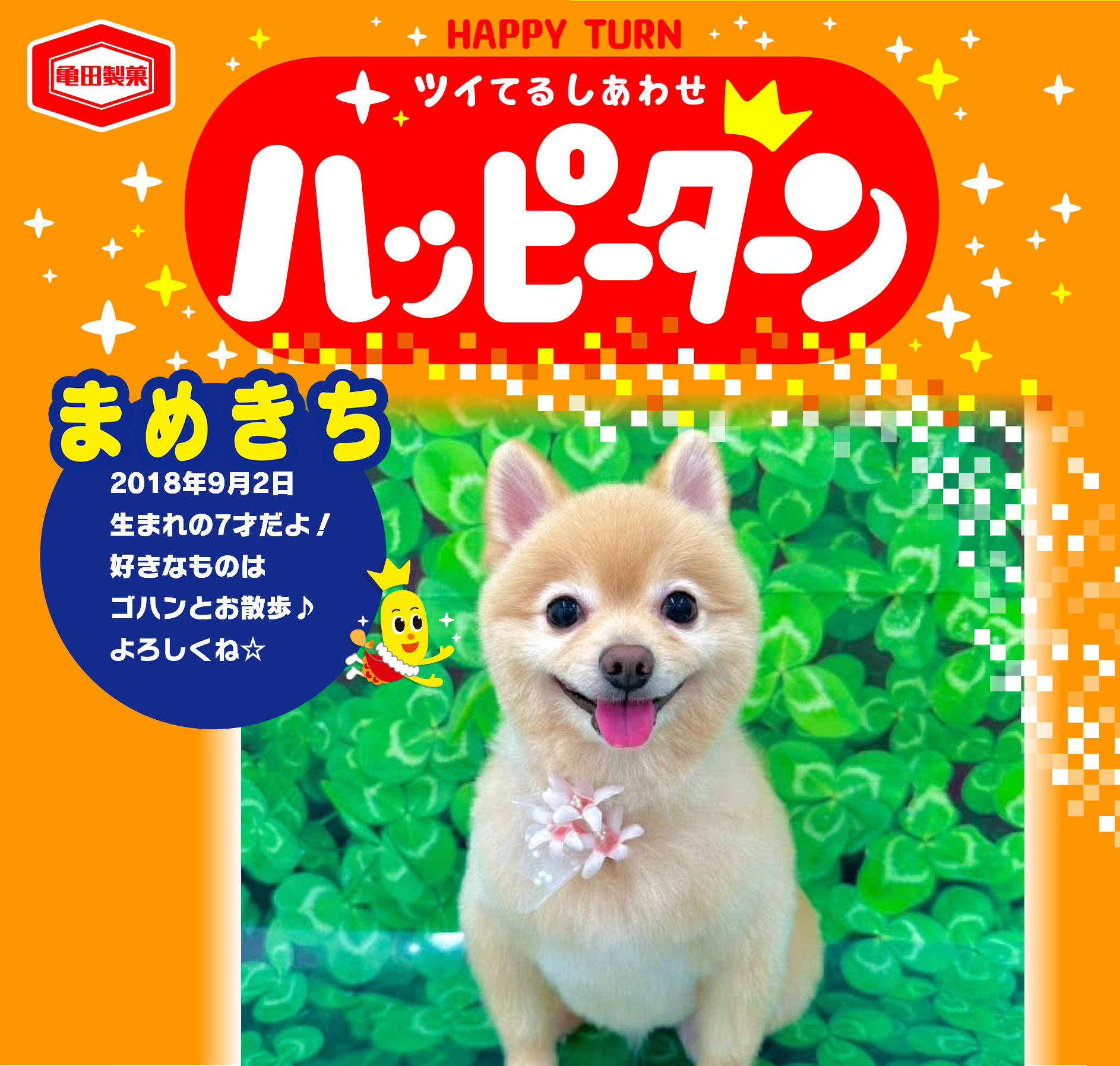 まめきち