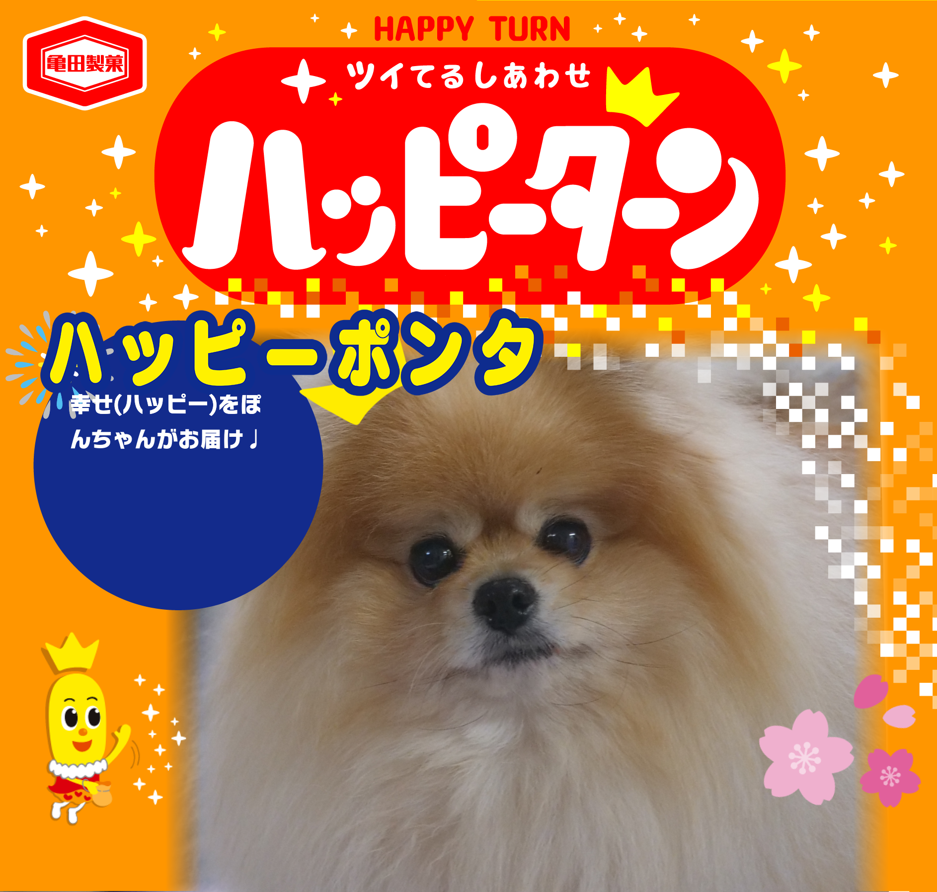 ハッピーポンタ