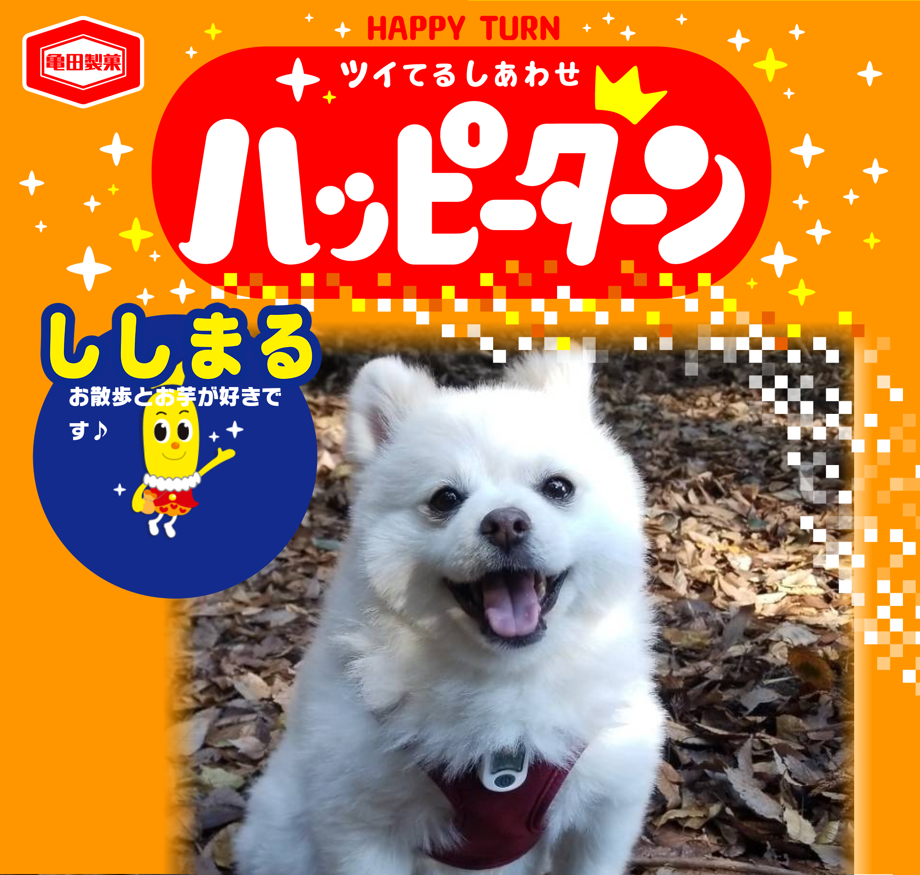 ししまる