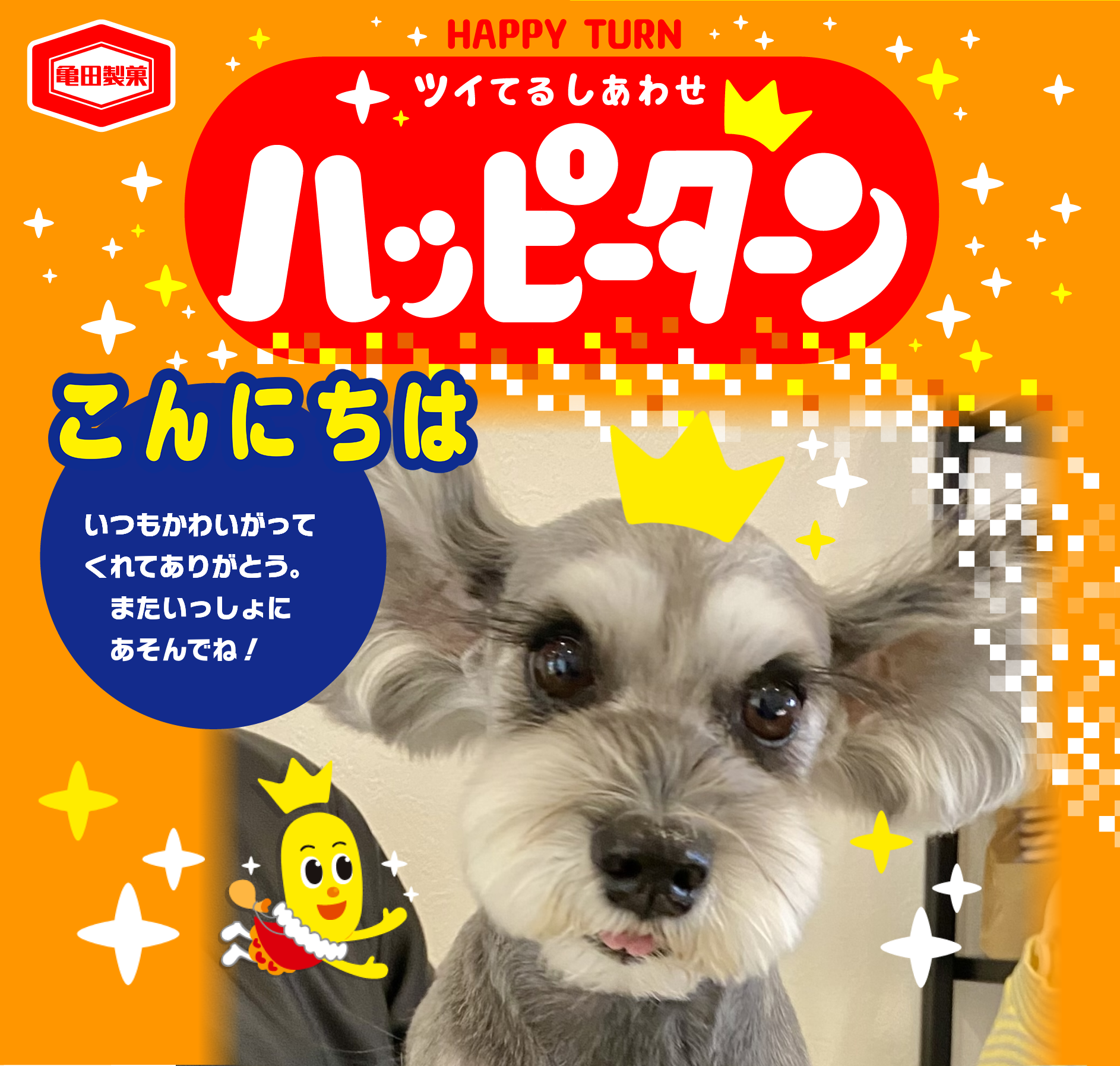 こんにちは