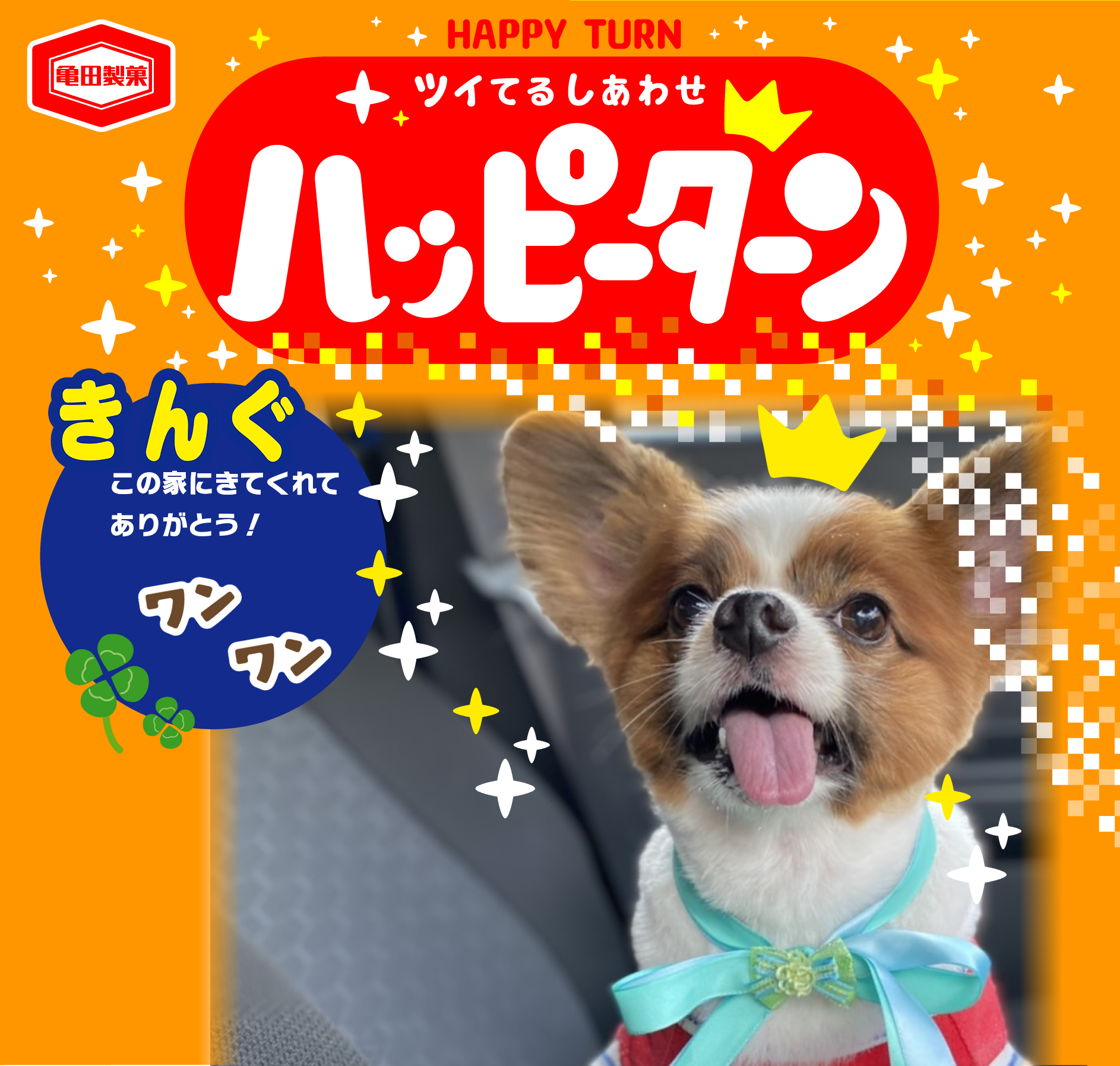きんぐ
