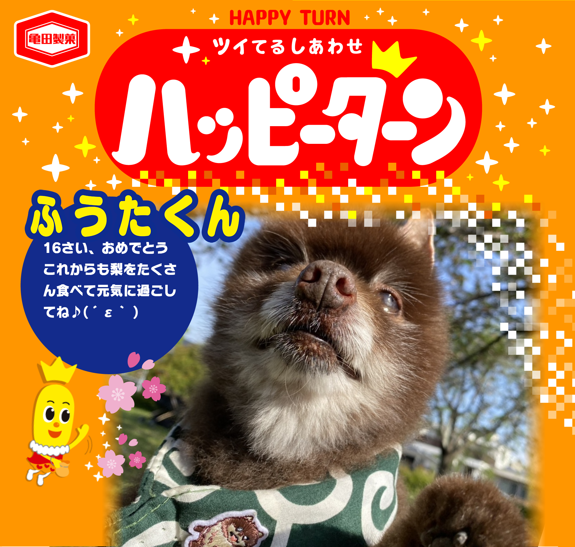 ふうたくん