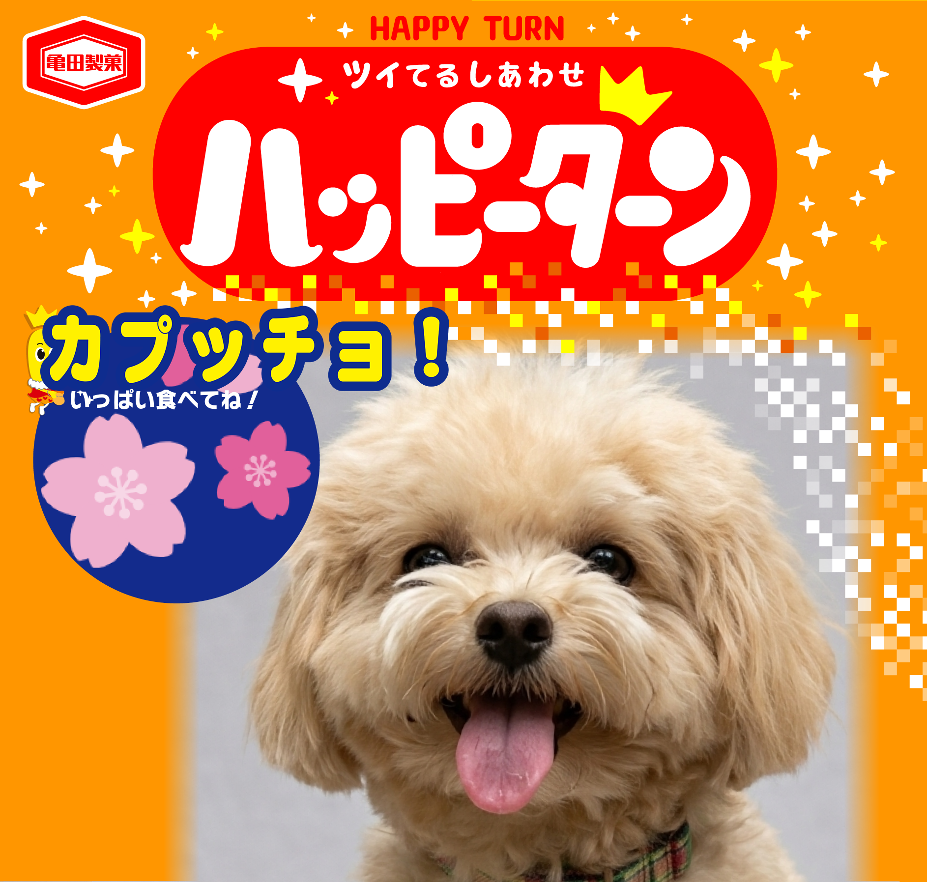 カプッチョ！