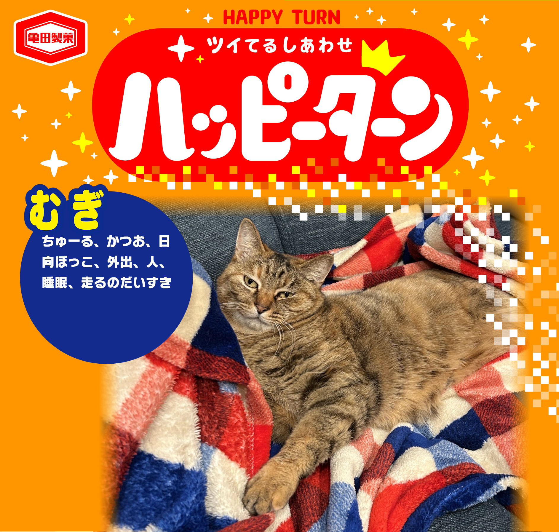 むぎ