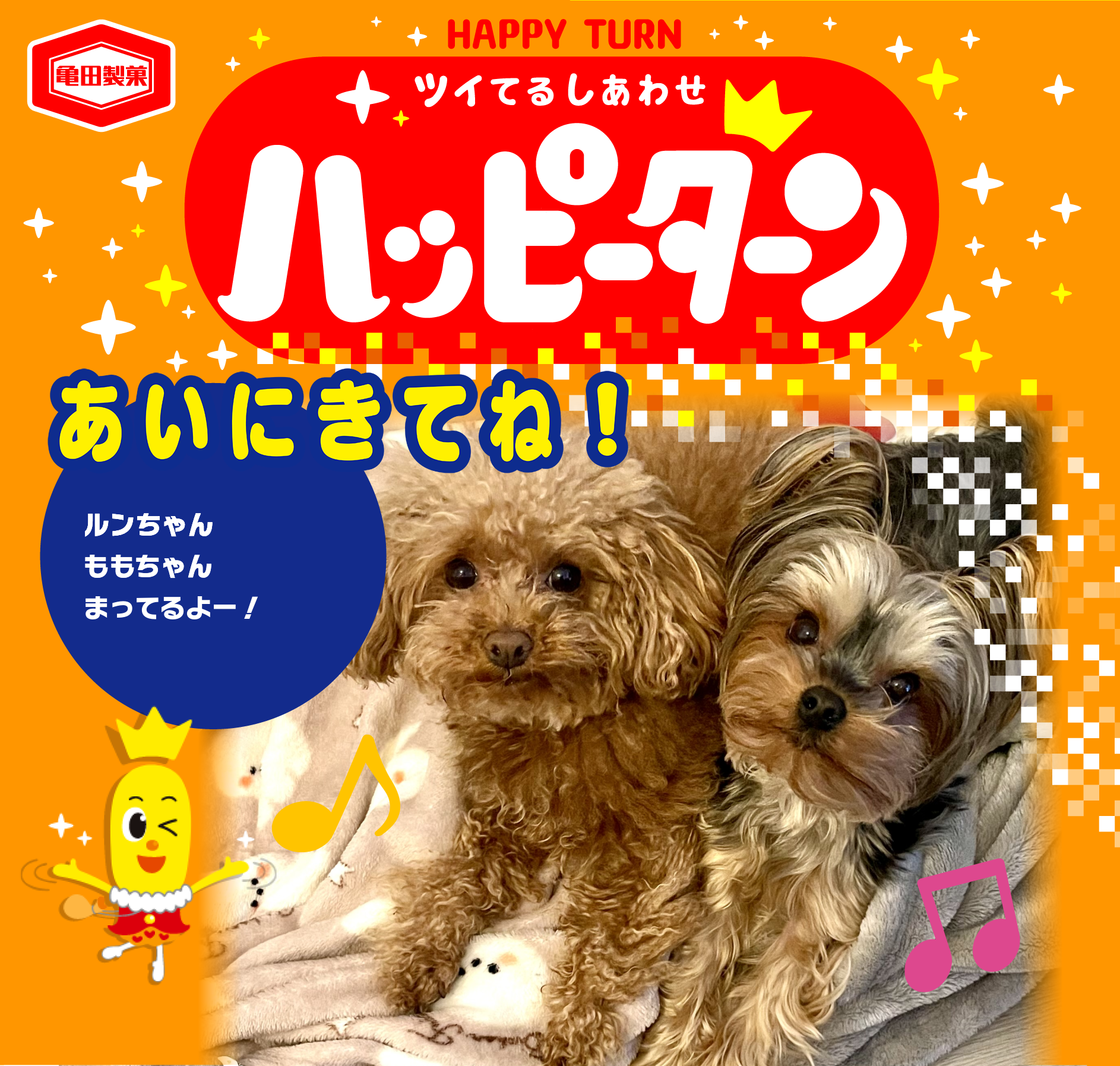 あいにきてね！
