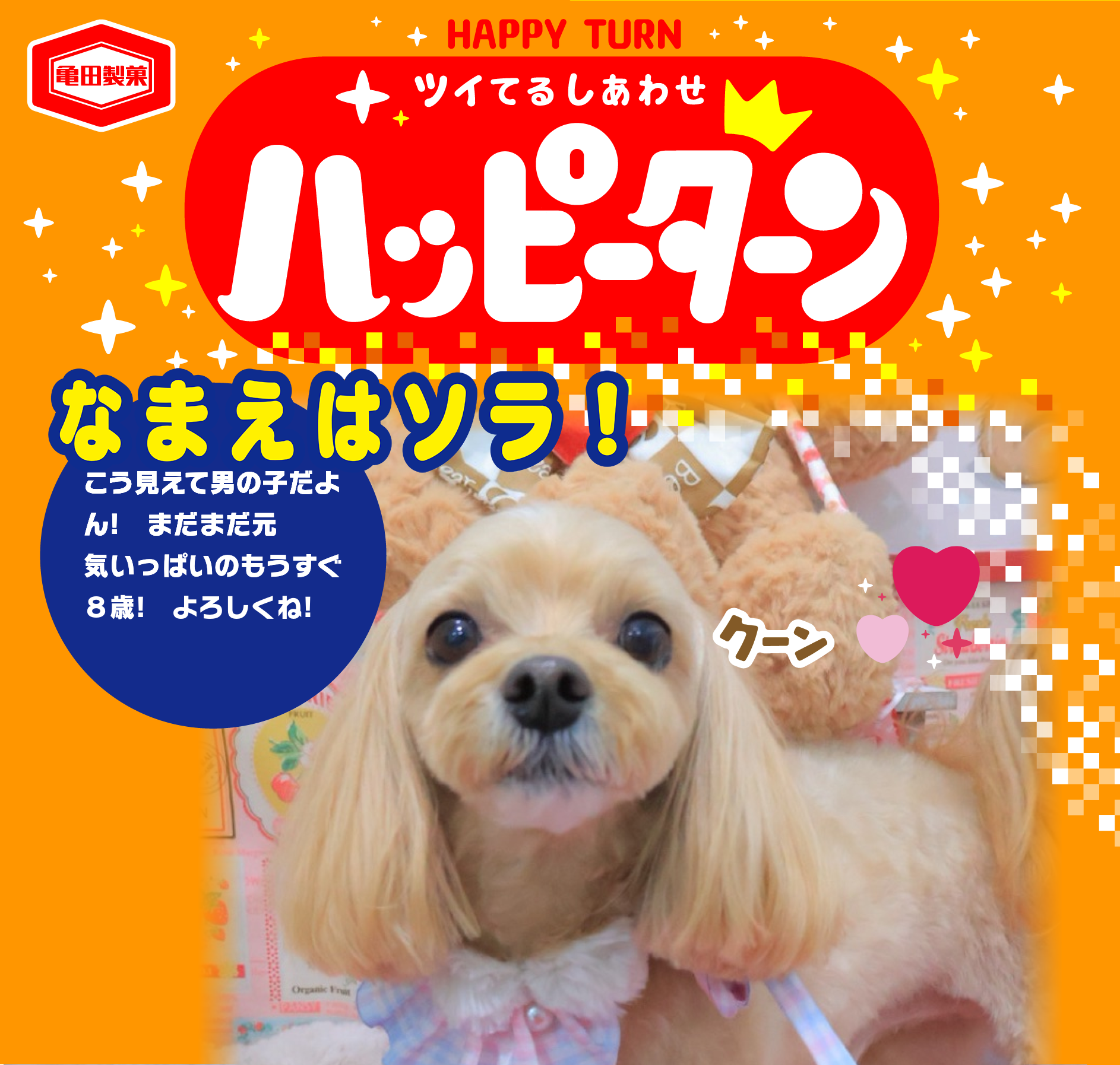 なまえはソラ!