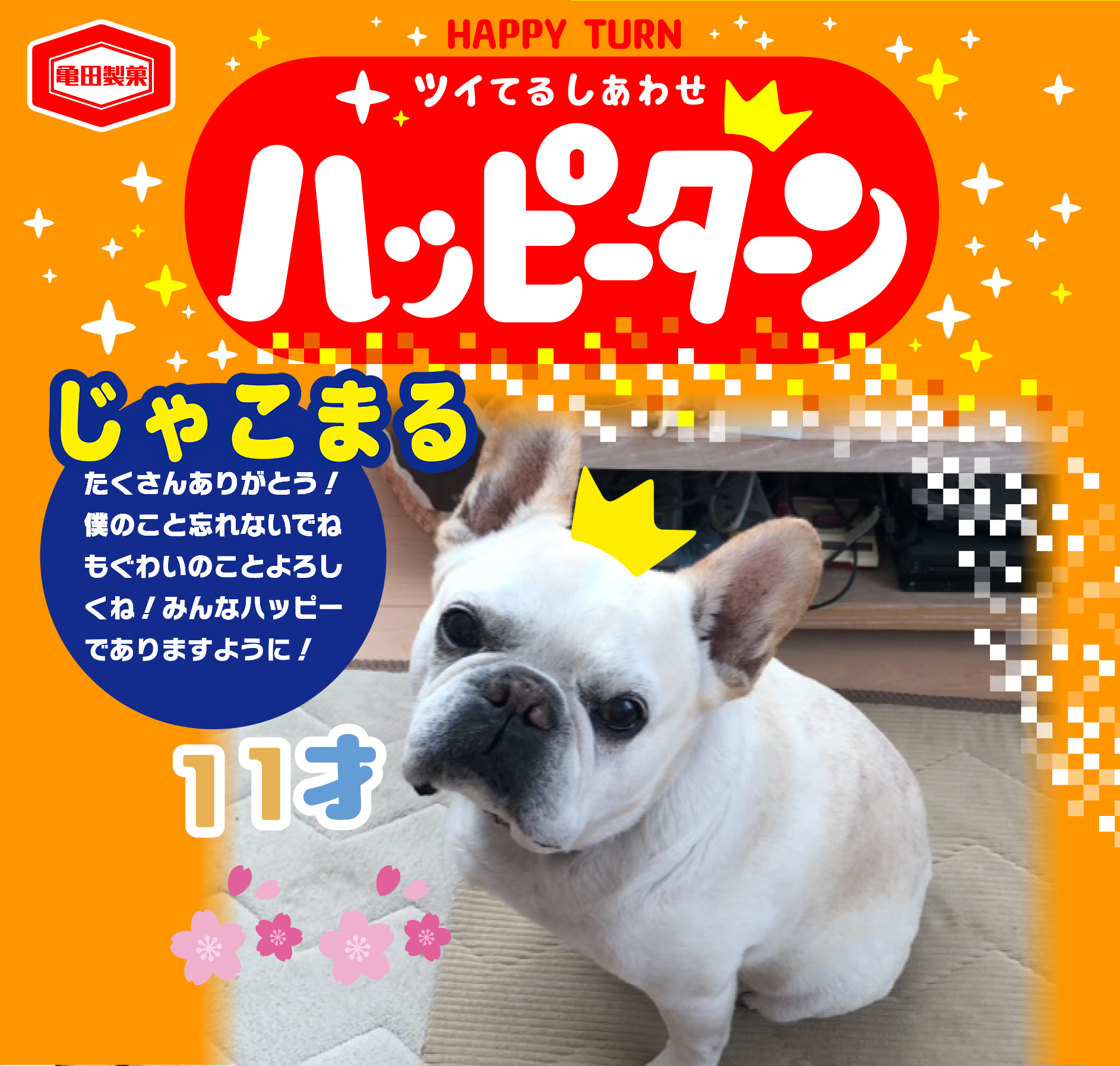 じゃこまる