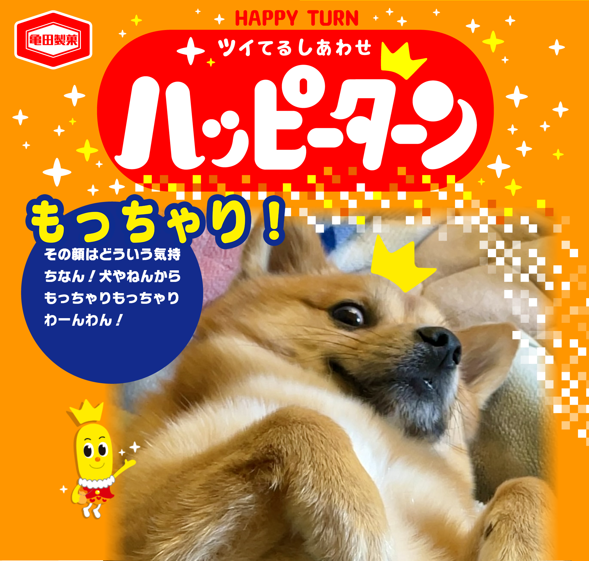 もっちゃり！