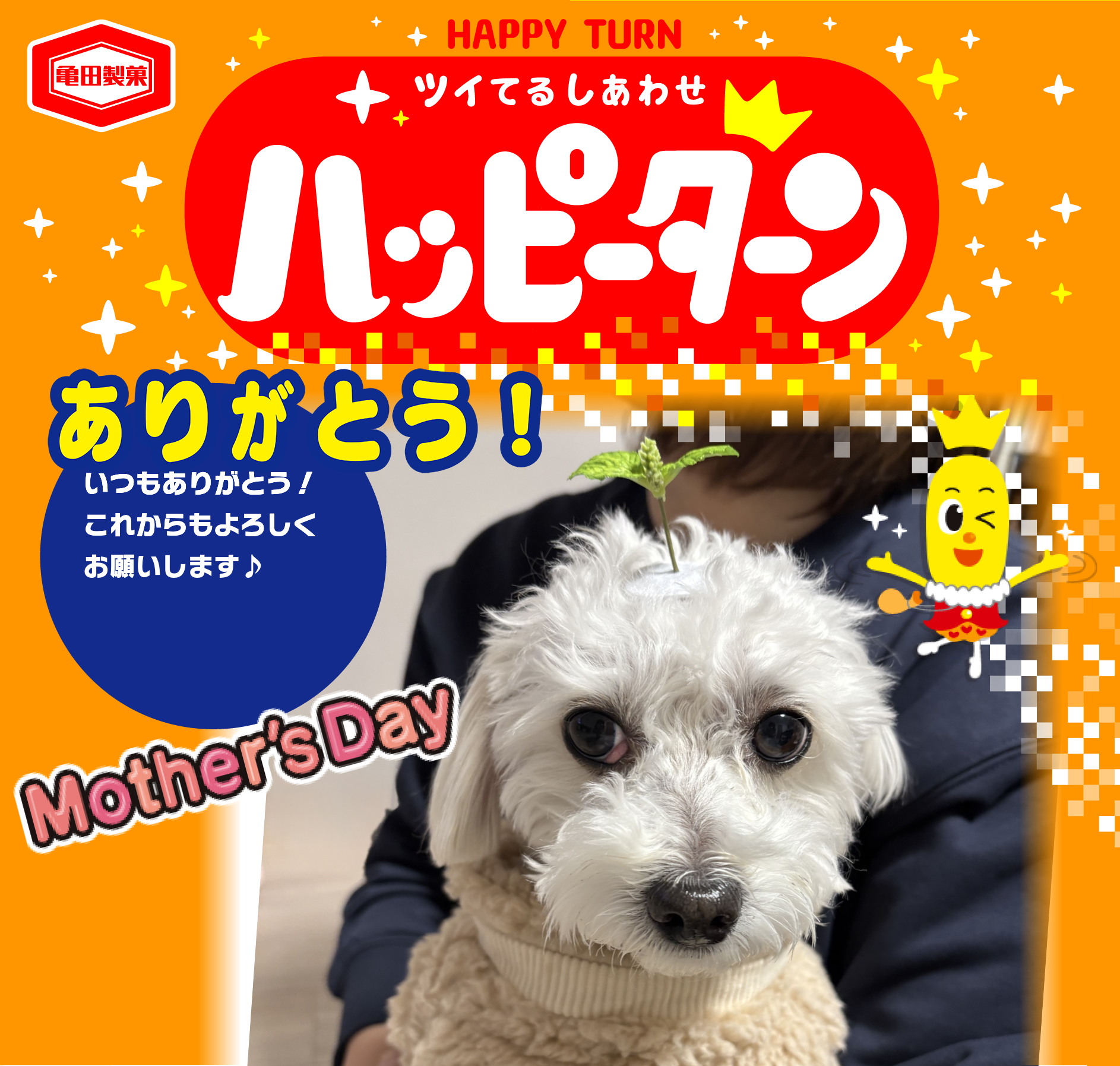 ありがとう！