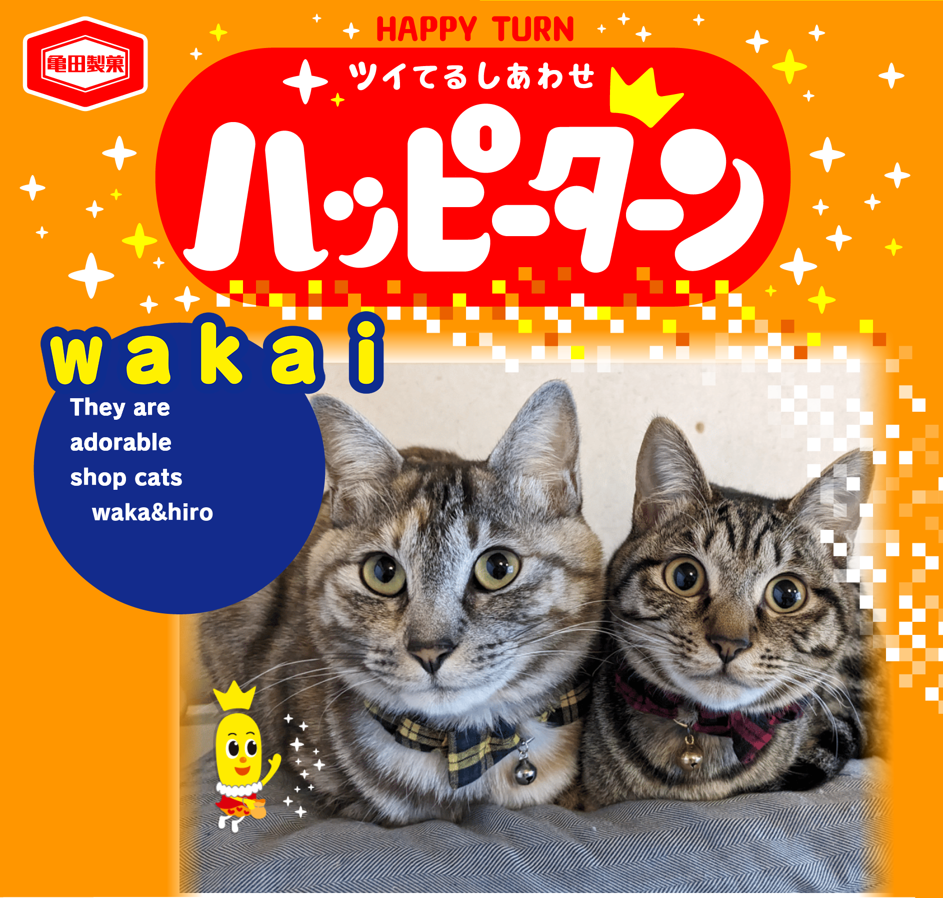 wakai