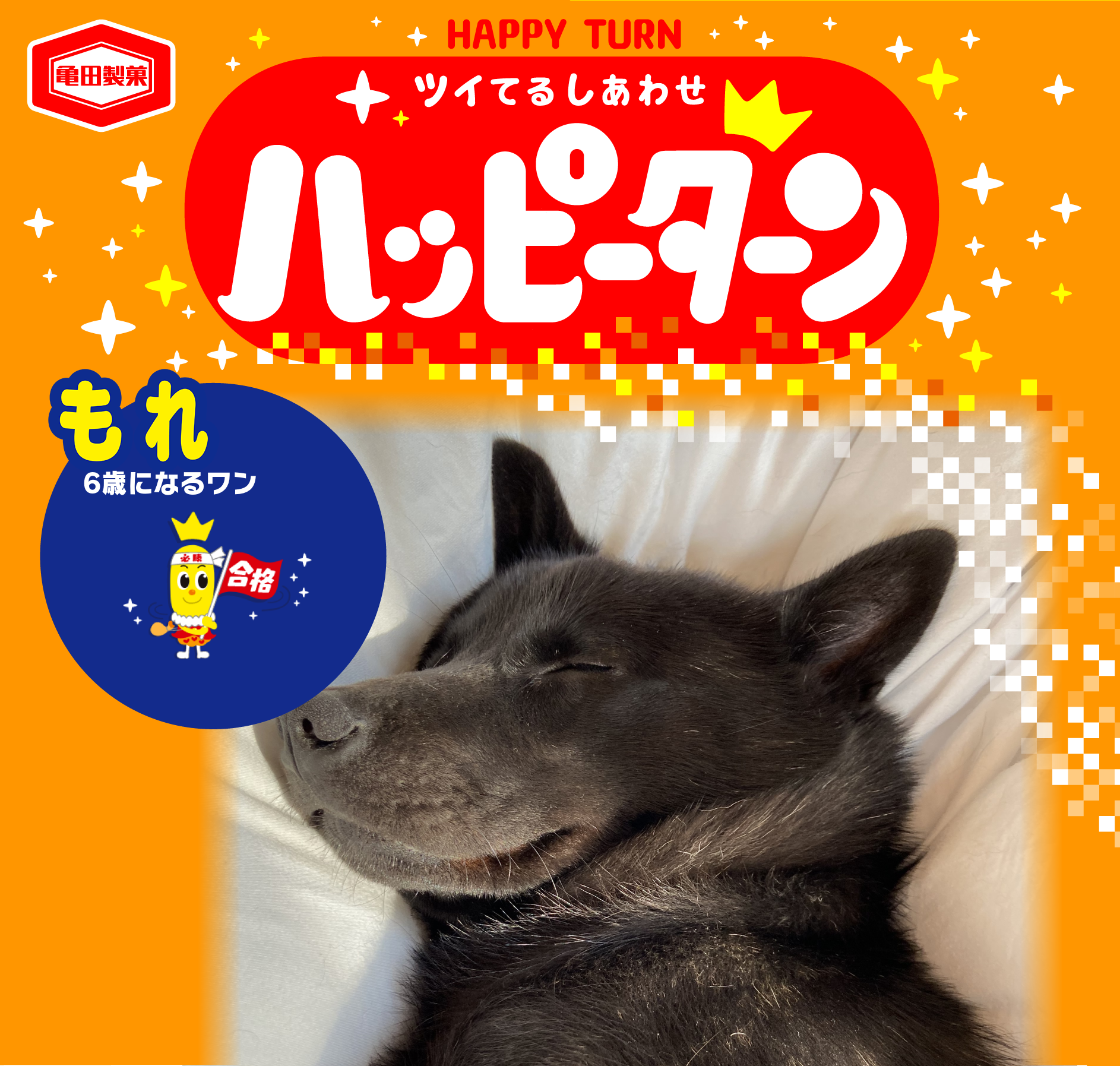 もれ