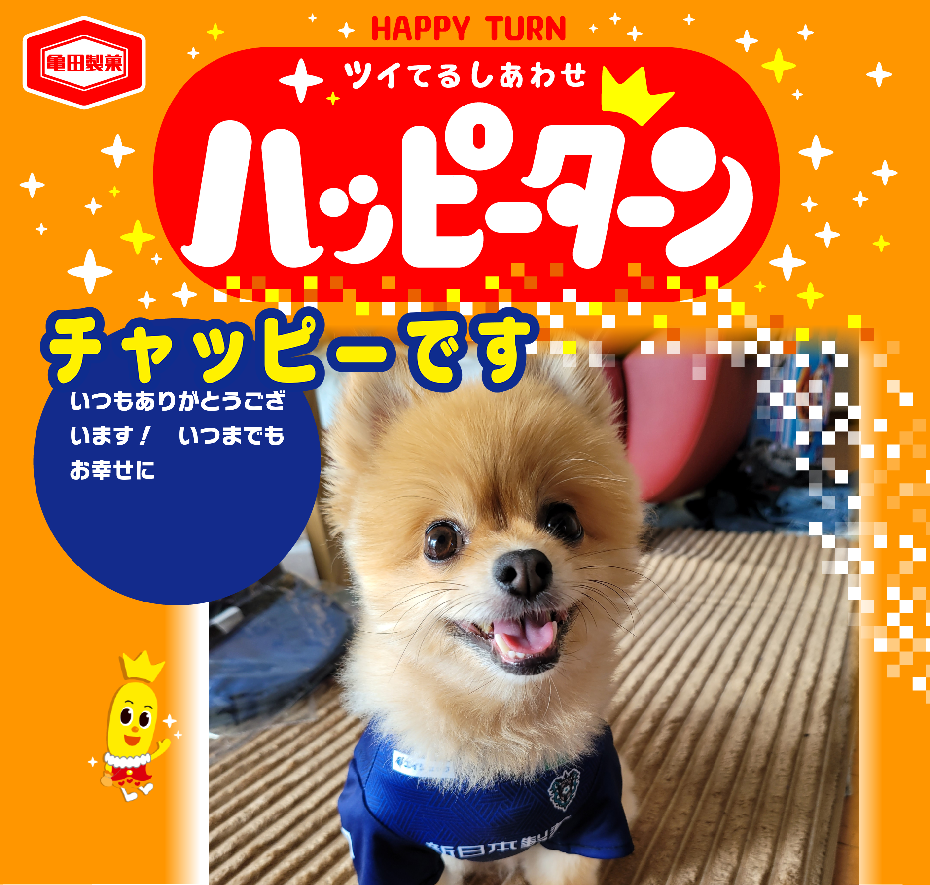 チャッピーです