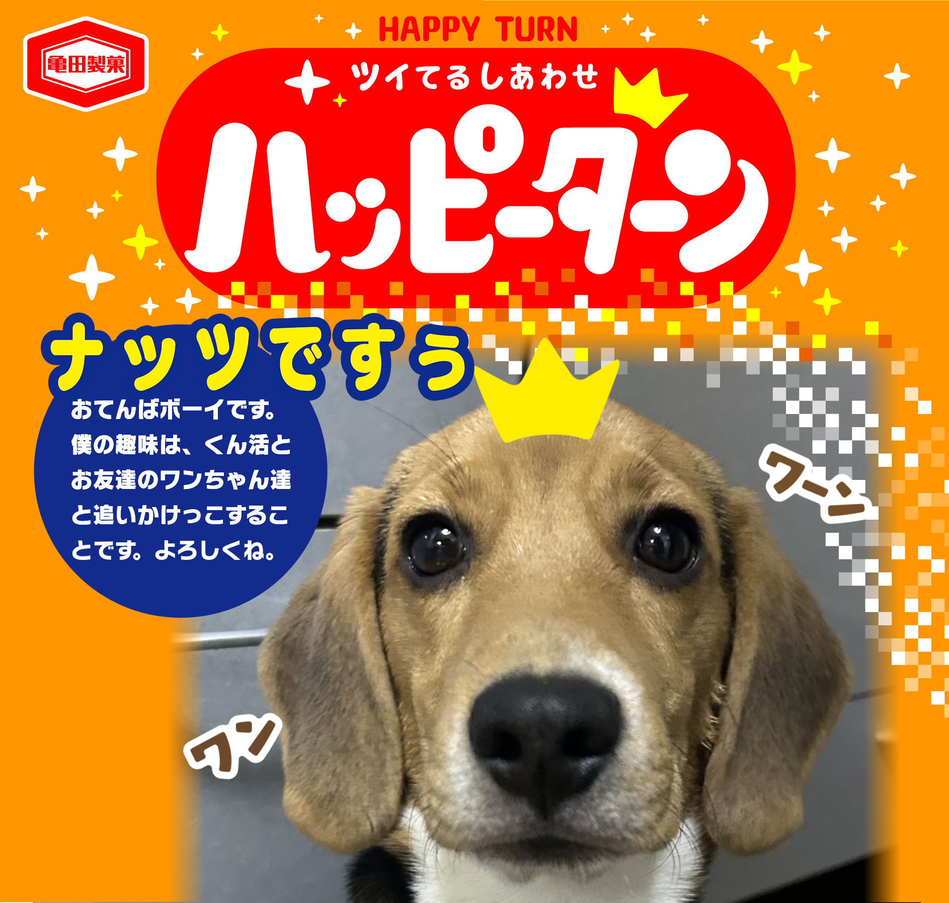 ナッツですぅ