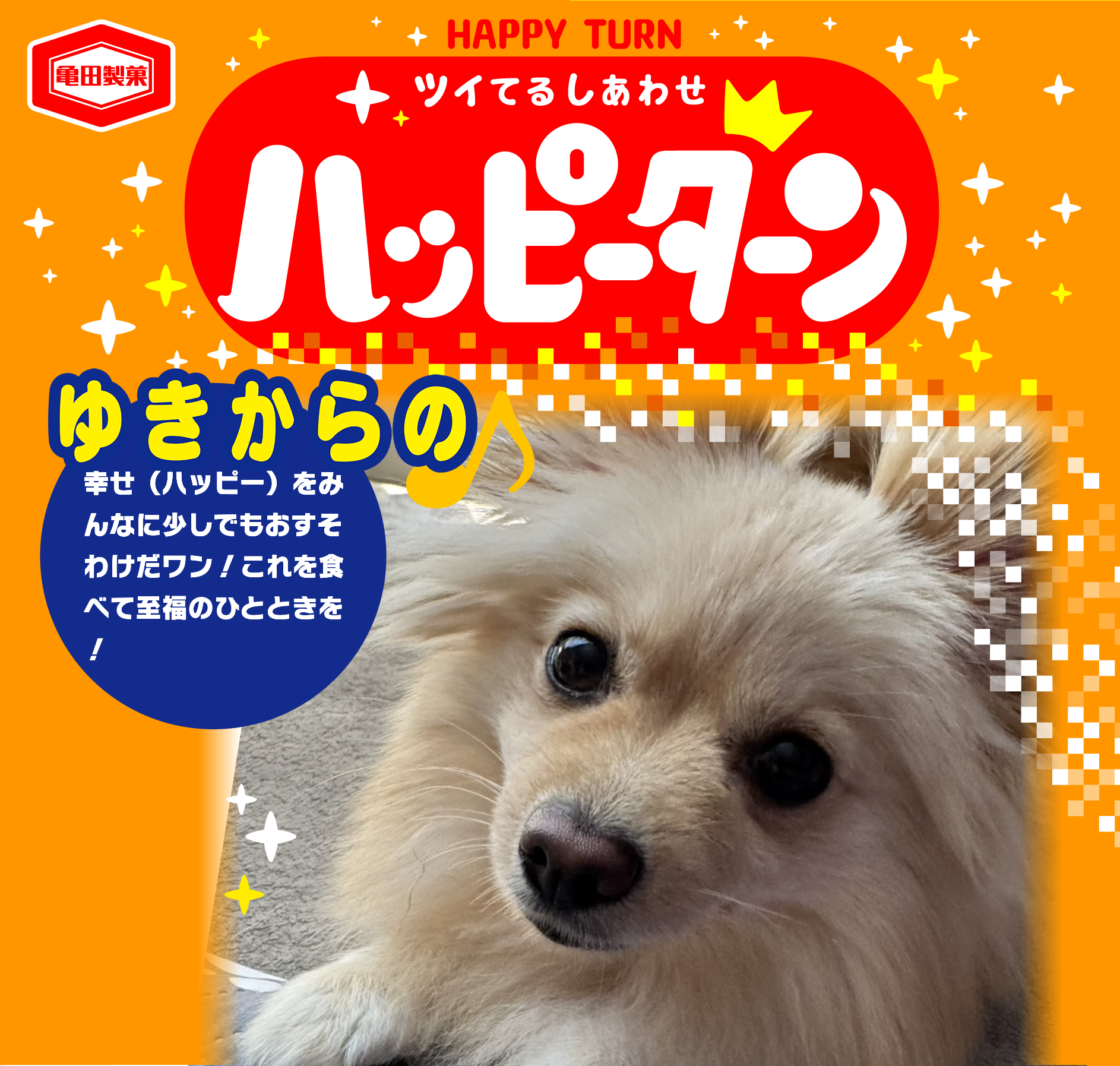 ゆきからの