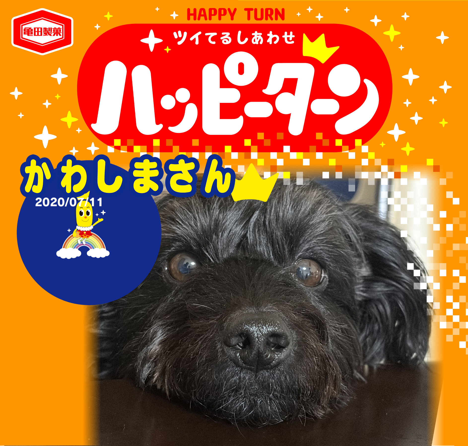 かわしまさん
