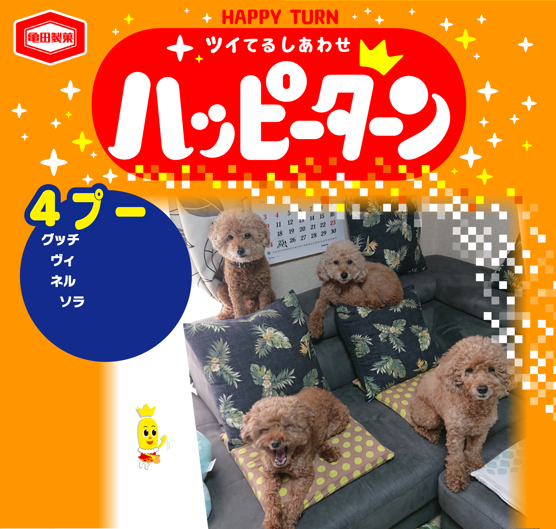 4プー