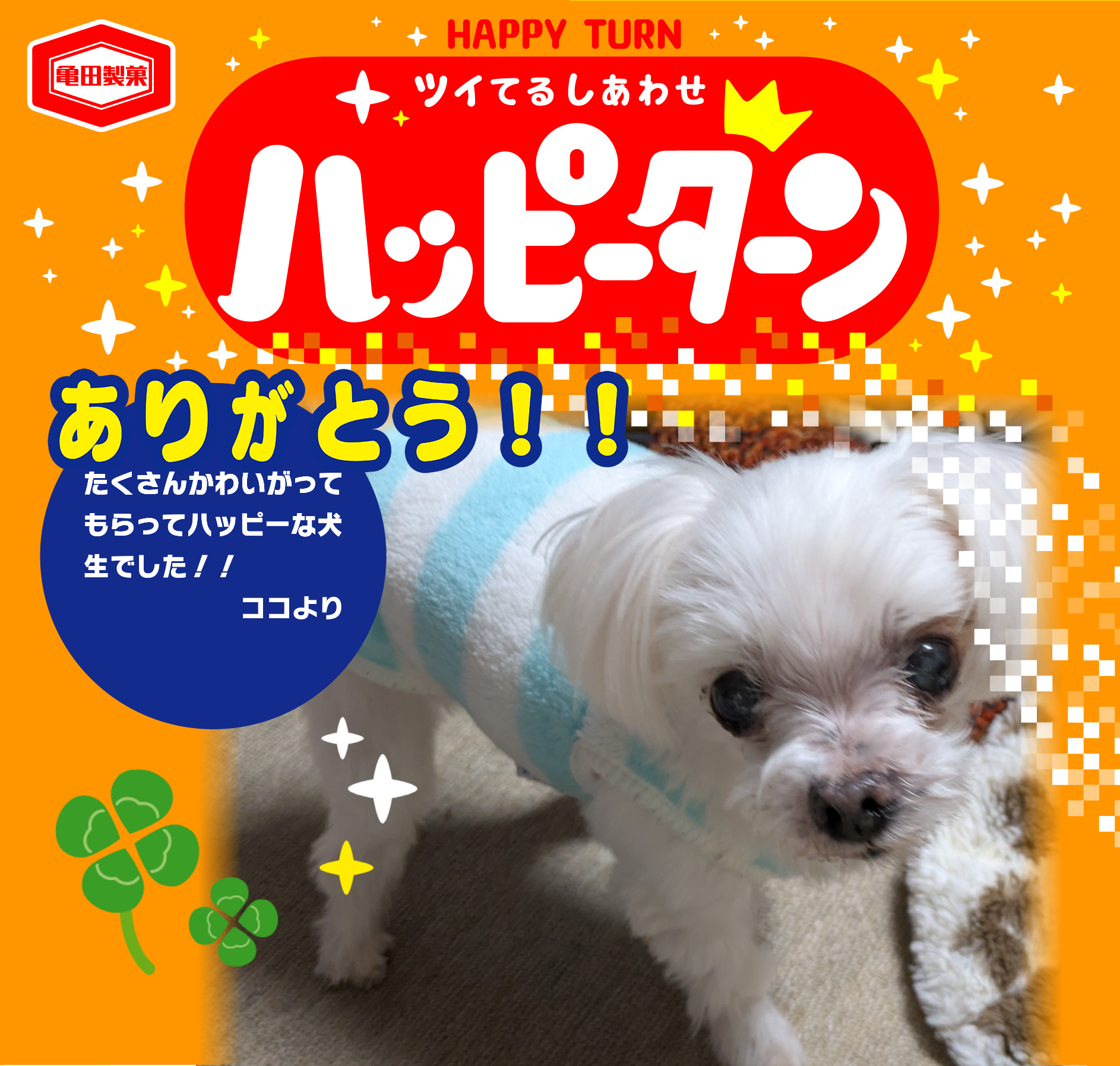 ありがとう！！