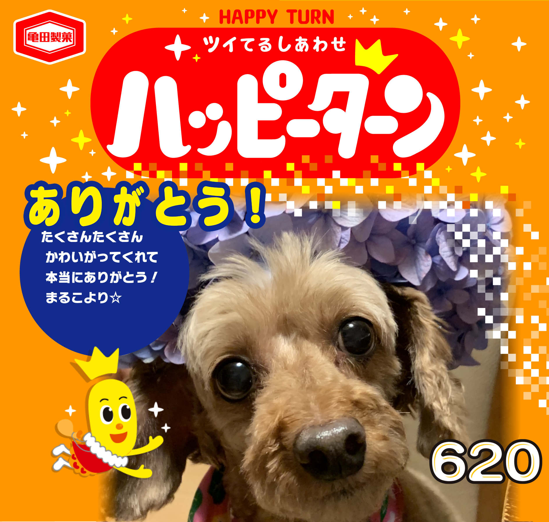 ありがとう！