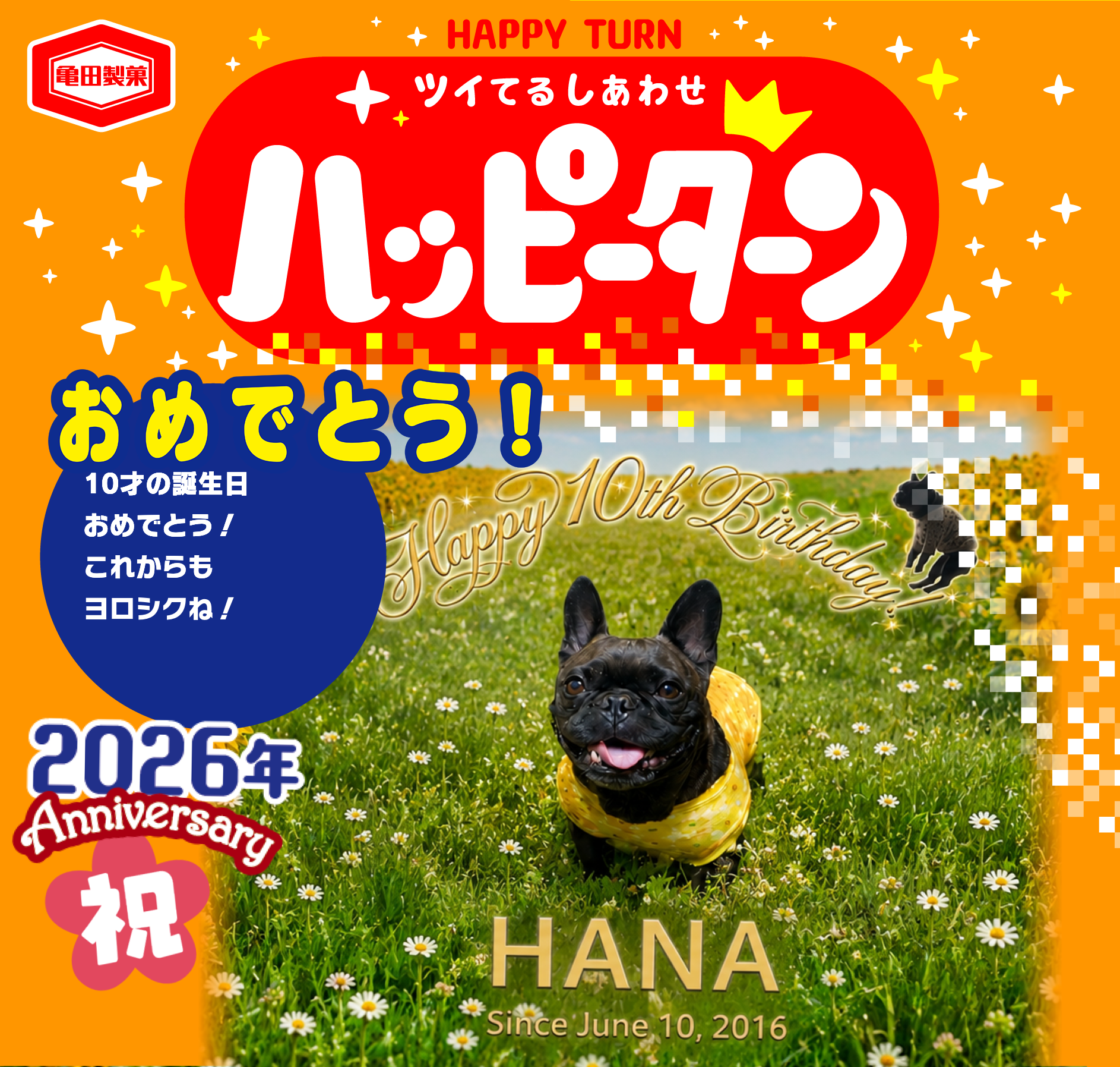 おめでとう！