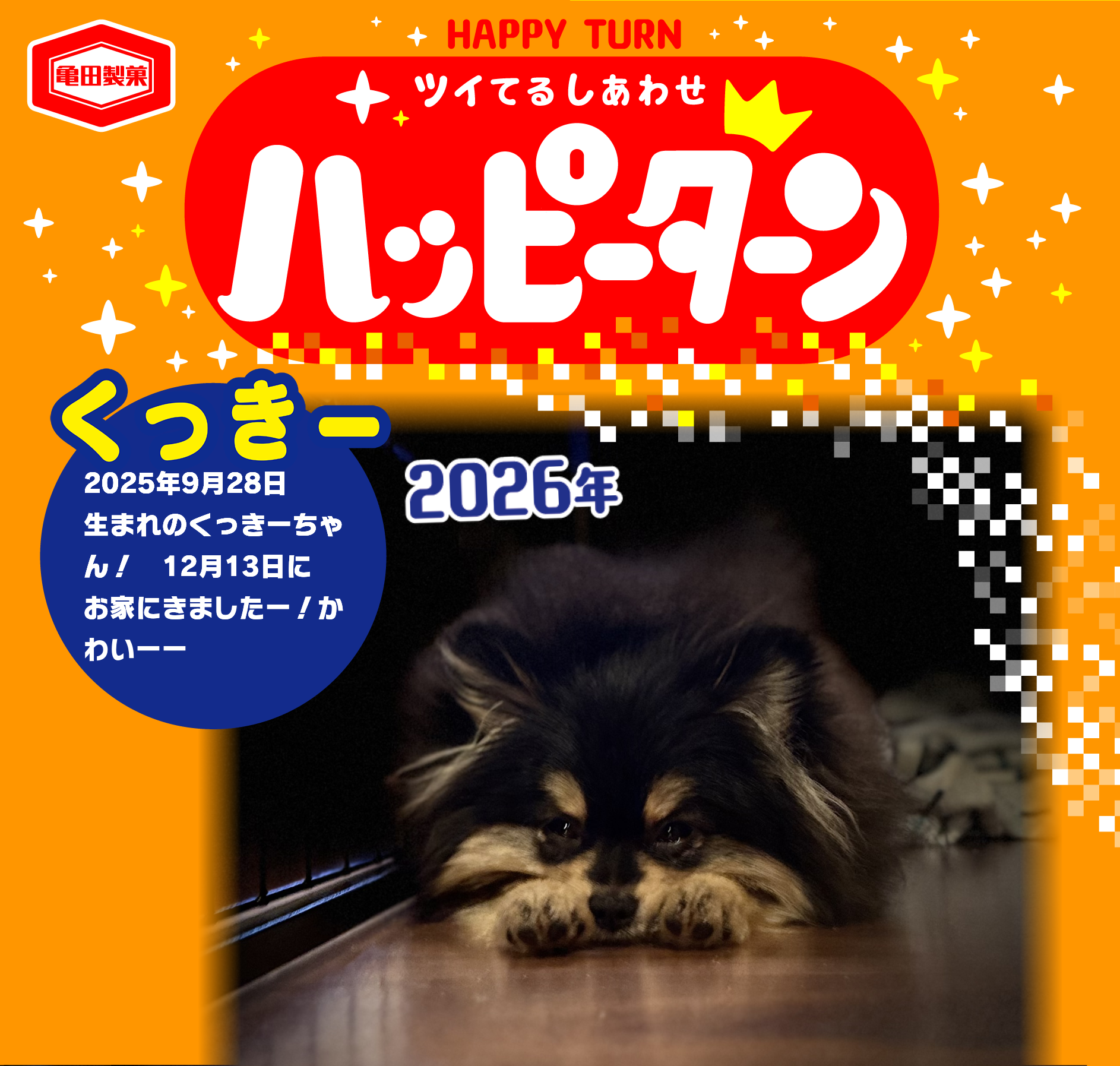 くっきー