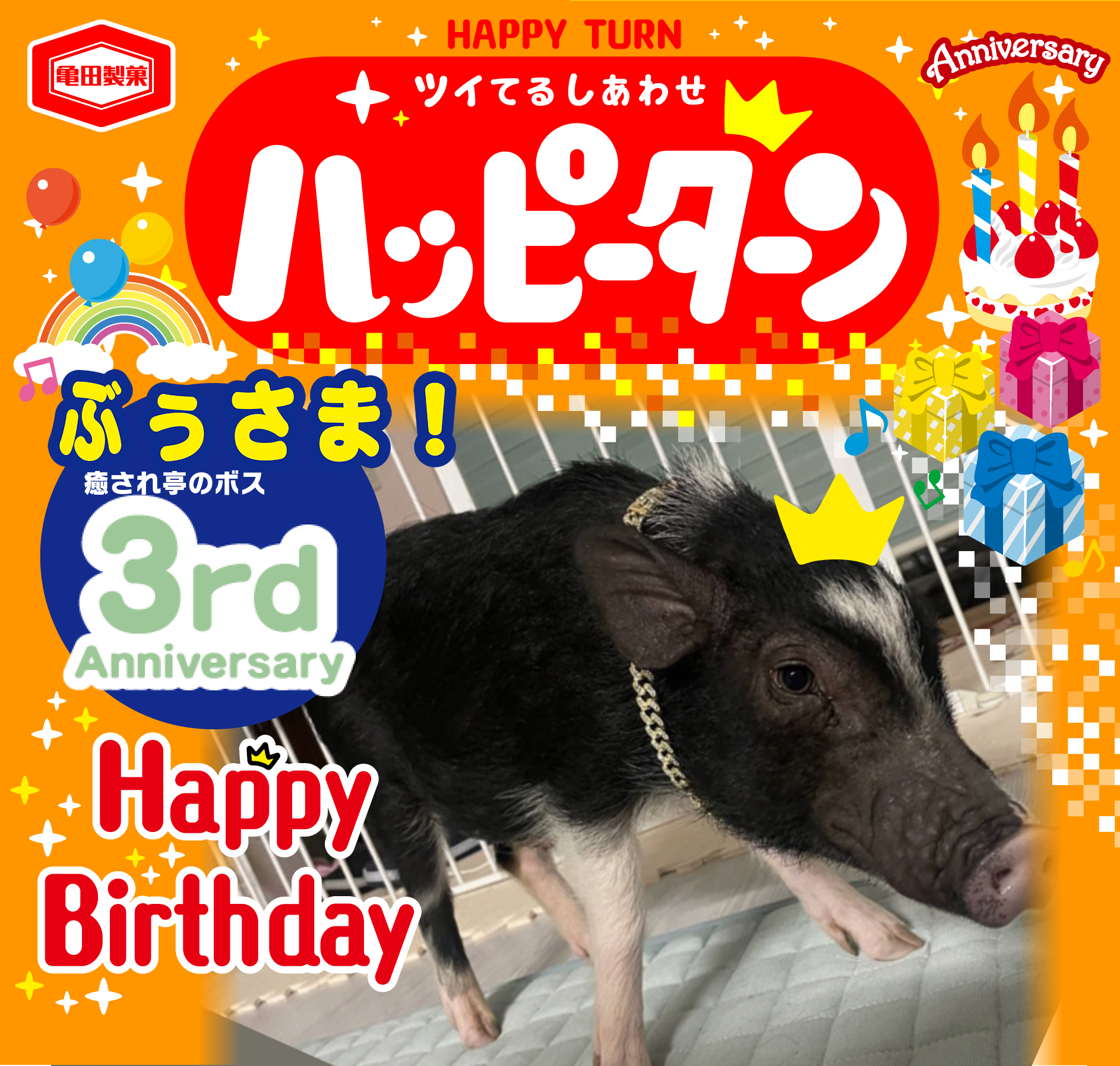 ぶぅさま！