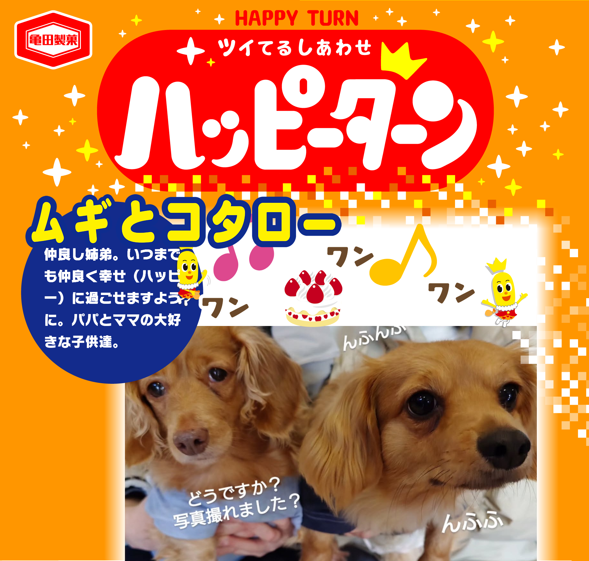 ムギとコタロー