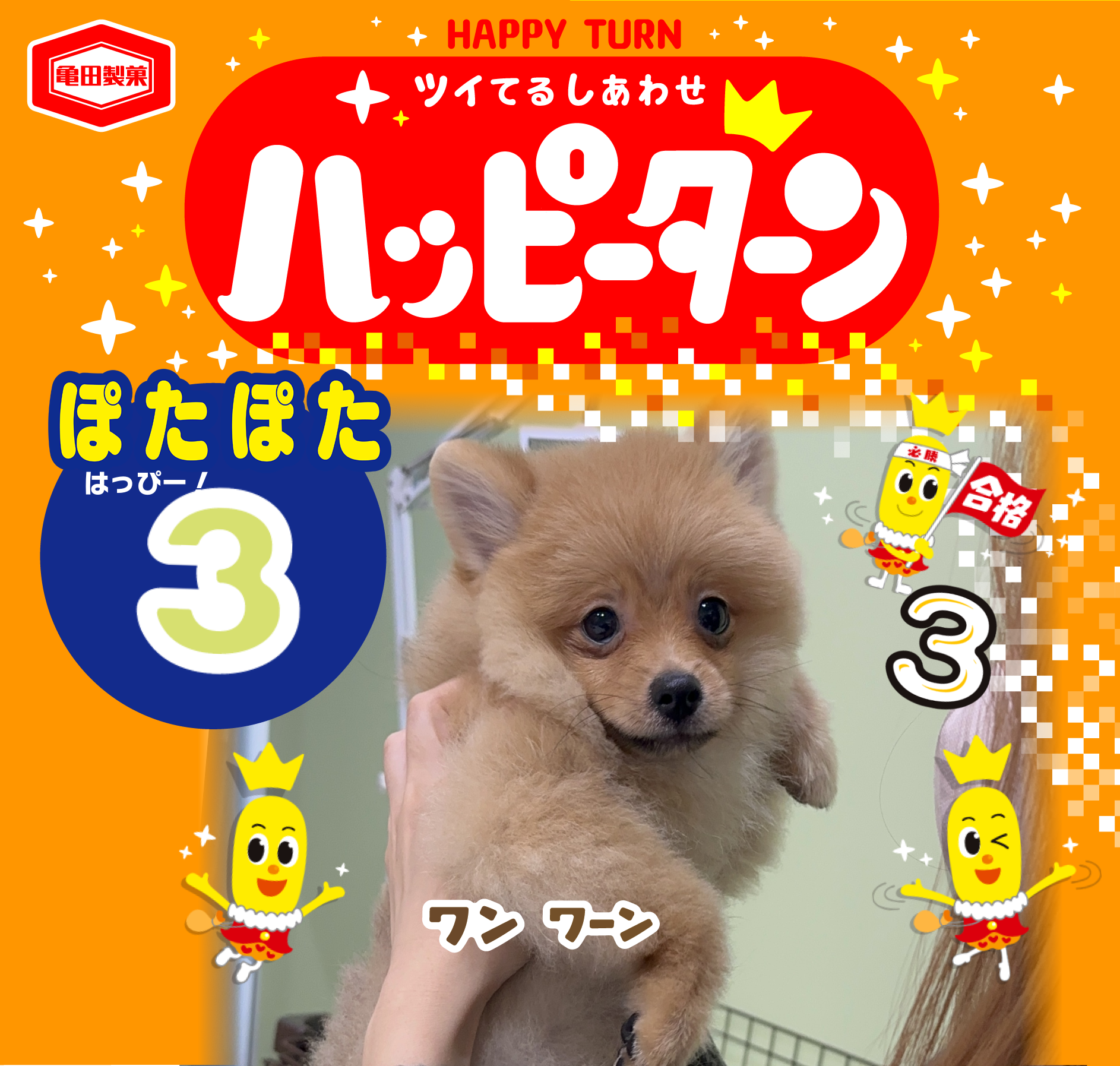 ぽたぽた