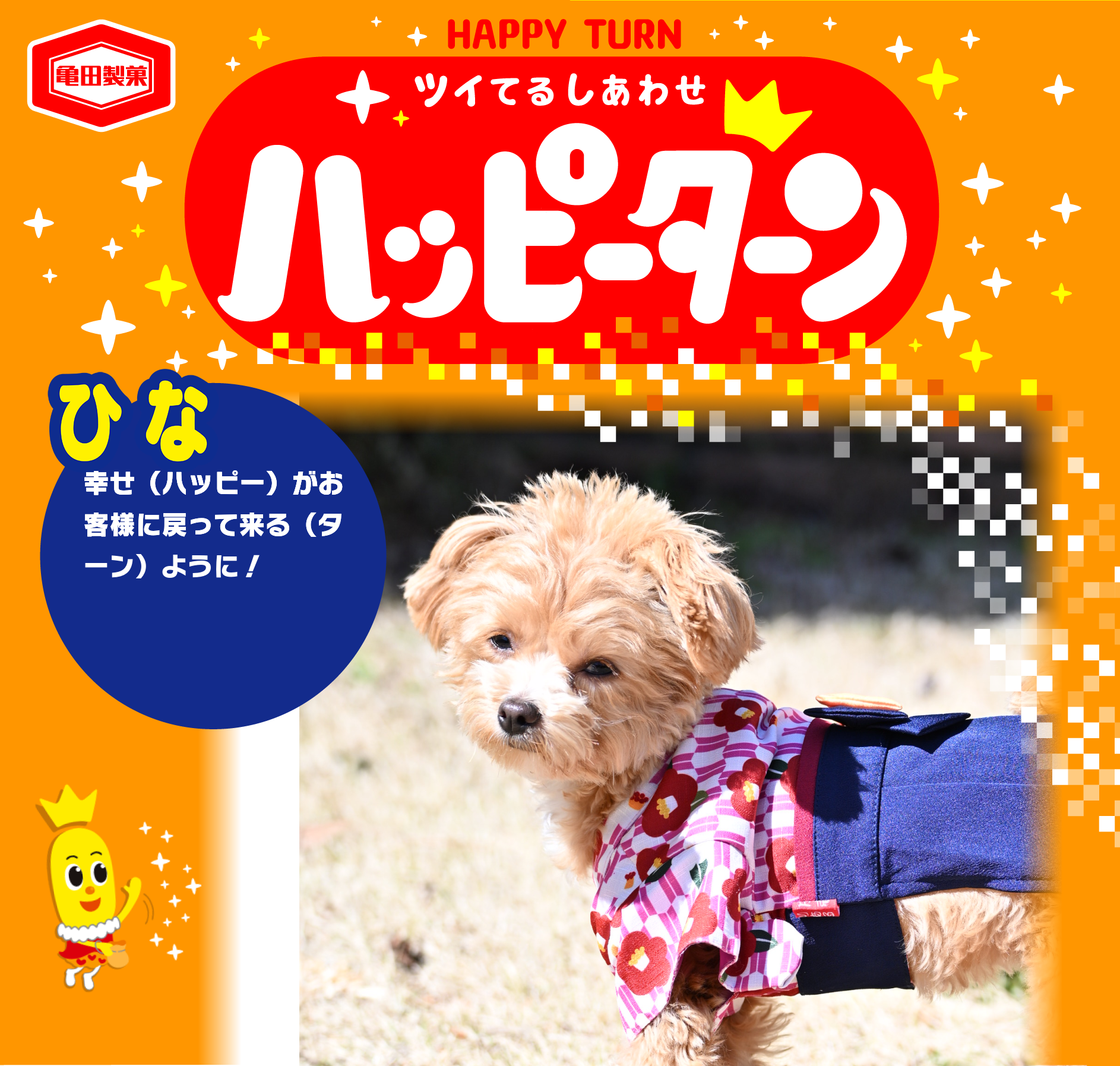ひな