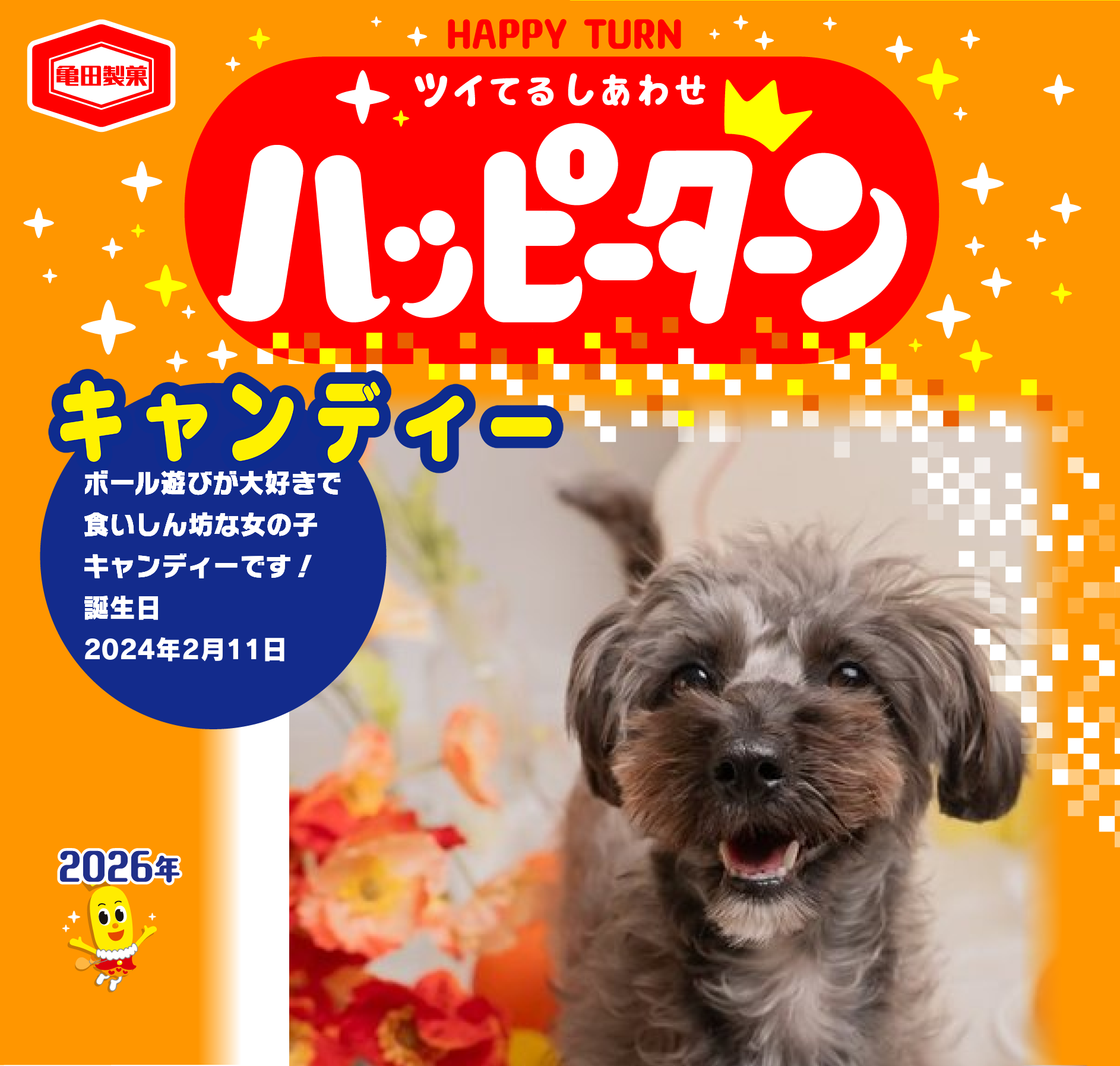 キャンディー