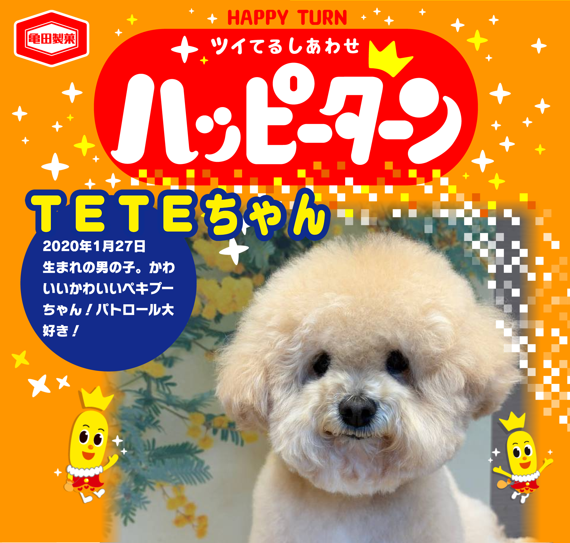 TETEちゃん