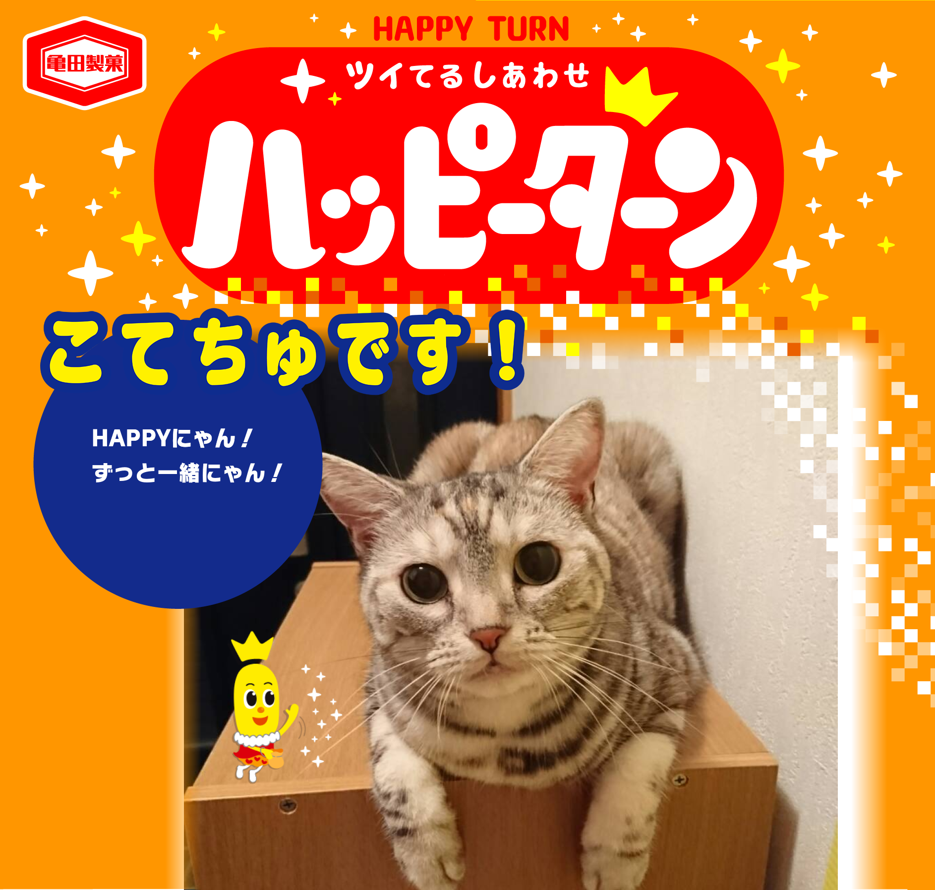 こてちゅです！