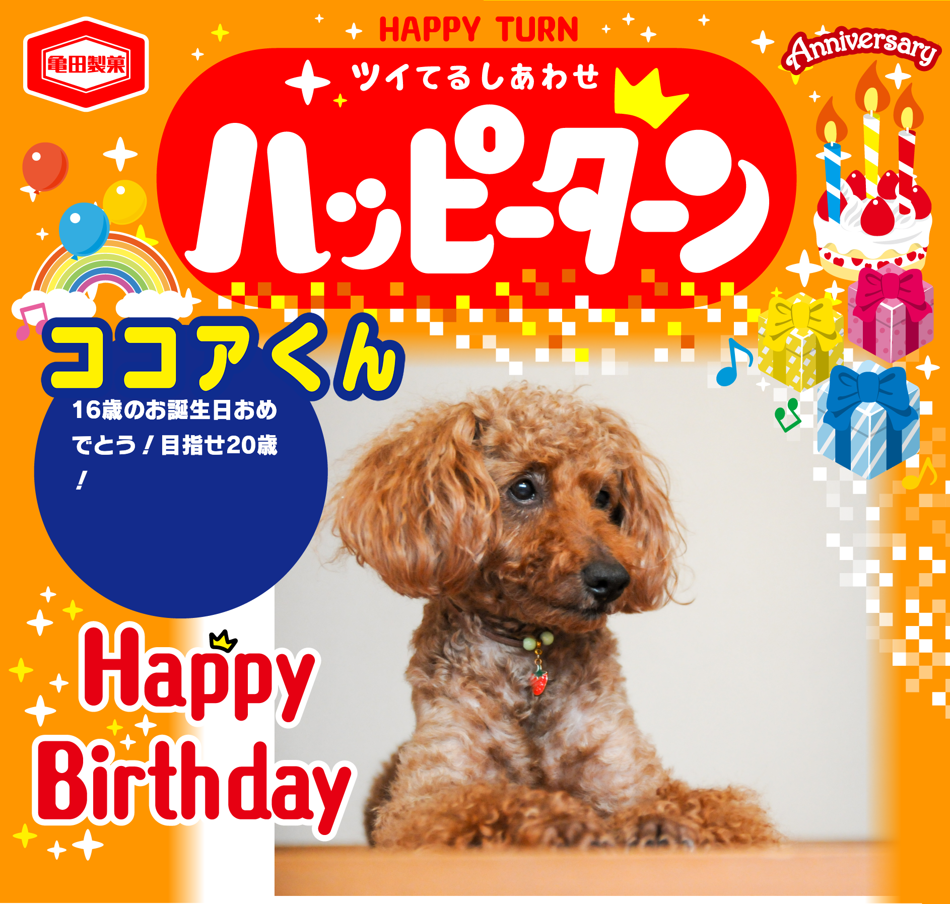 ココアくん