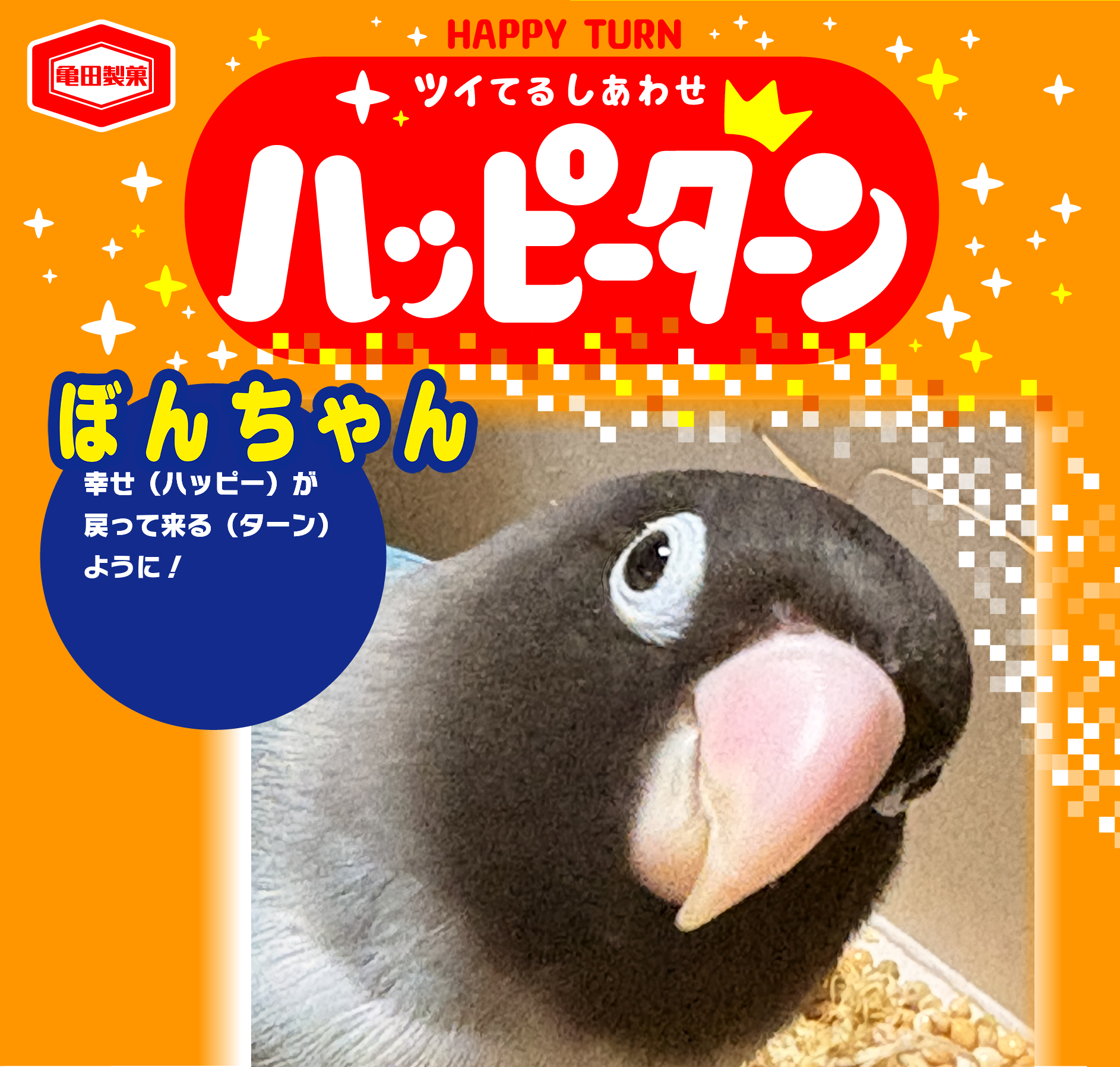 ぼんちゃん