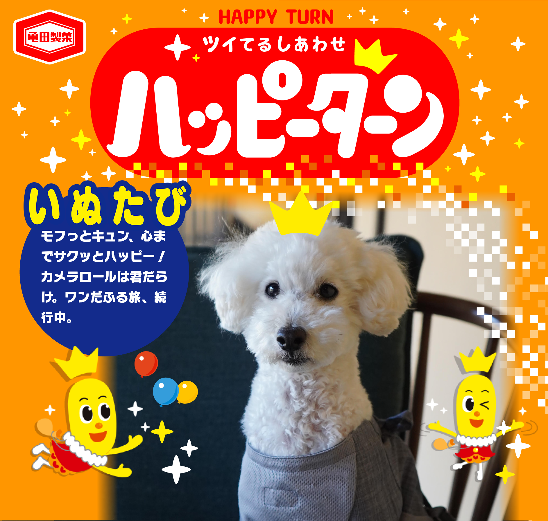 いぬたび